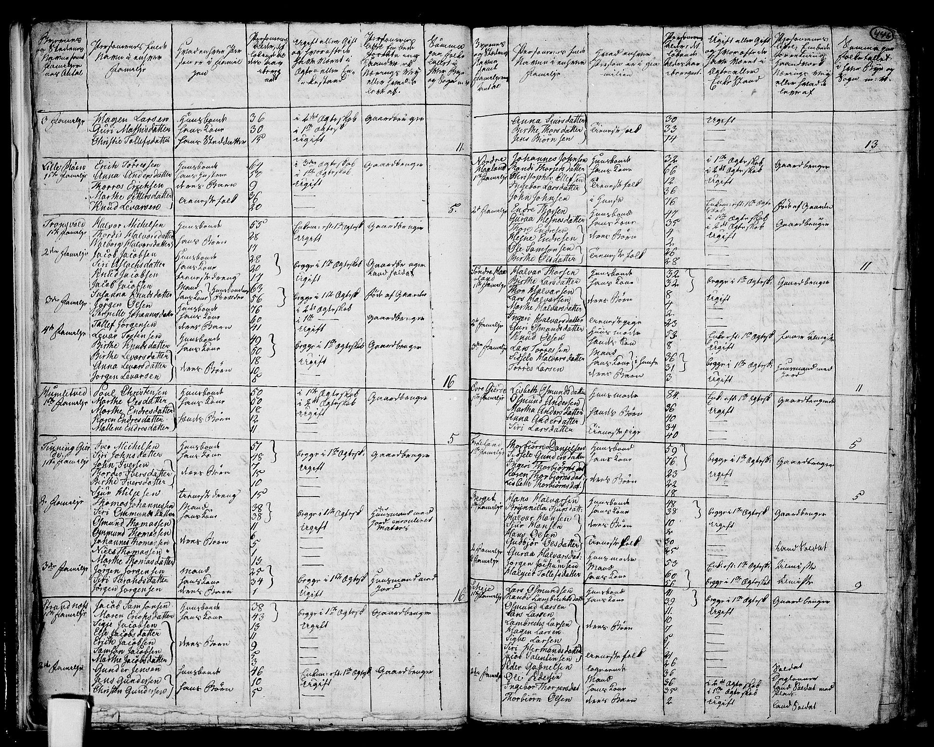 RA, 1801 census for 1157P Vikedal, 1801, p. 445b-446a