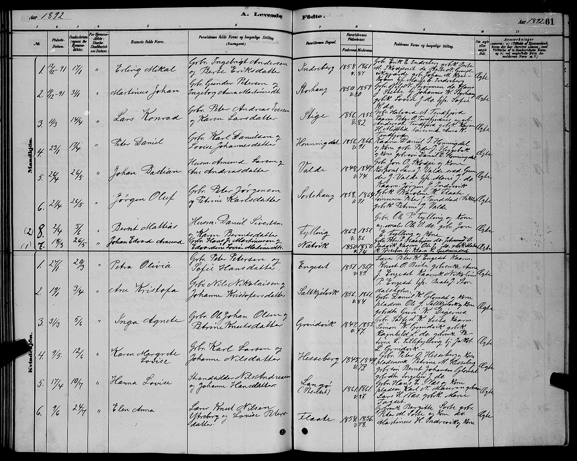 Ministerialprotokoller, klokkerbøker og fødselsregistre - Møre og Romsdal, AV/SAT-A-1454/524/L0365: Parish register (copy) no. 524C06, 1880-1899, p. 61