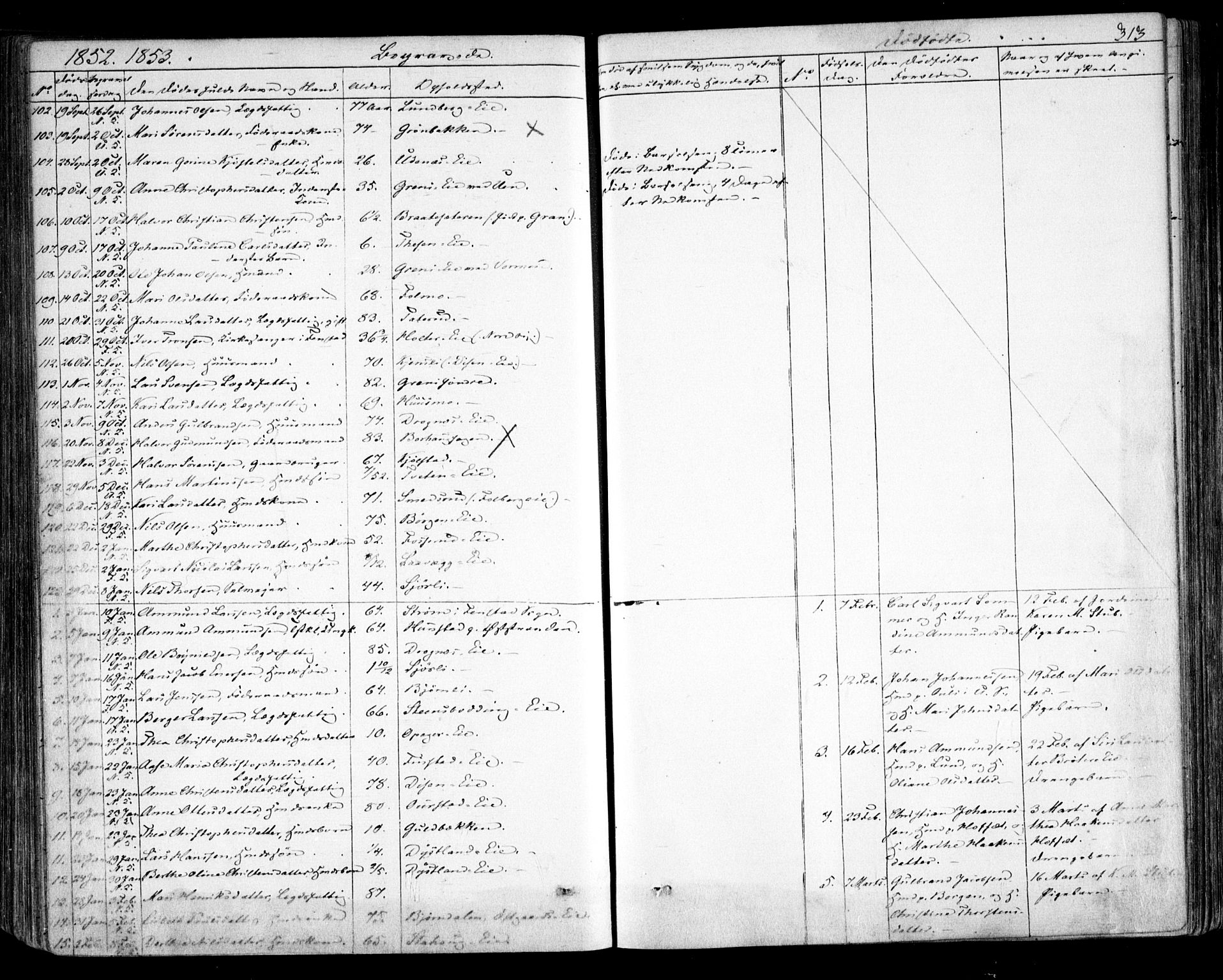Nes prestekontor Kirkebøker, SAO/A-10410/F/Fa/L0007: Parish register (official) no. I 7, 1846-1858, p. 313