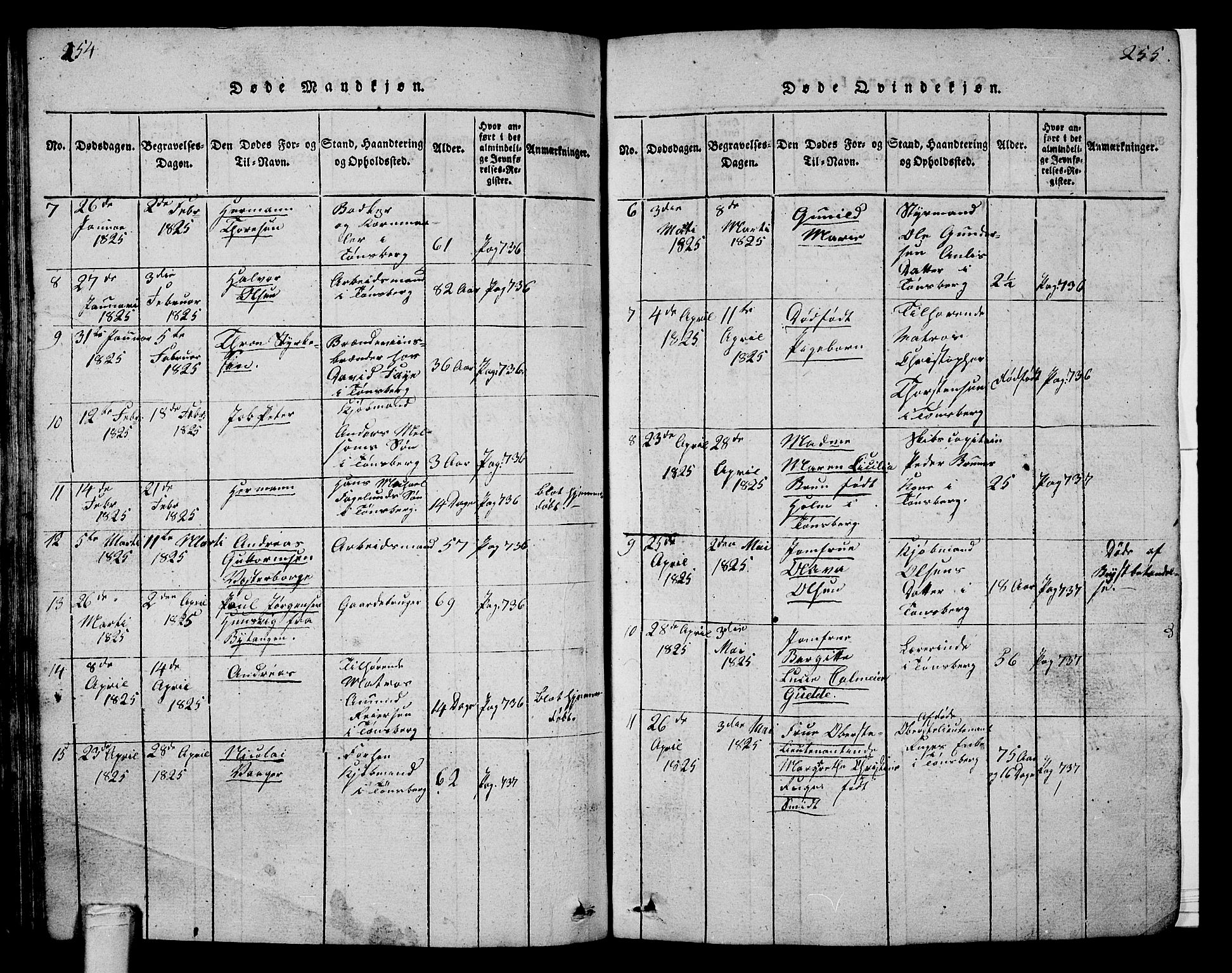 Tønsberg kirkebøker, SAKO/A-330/G/Ga/L0001: Parish register (copy) no. 1, 1813-1826, p. 254-255