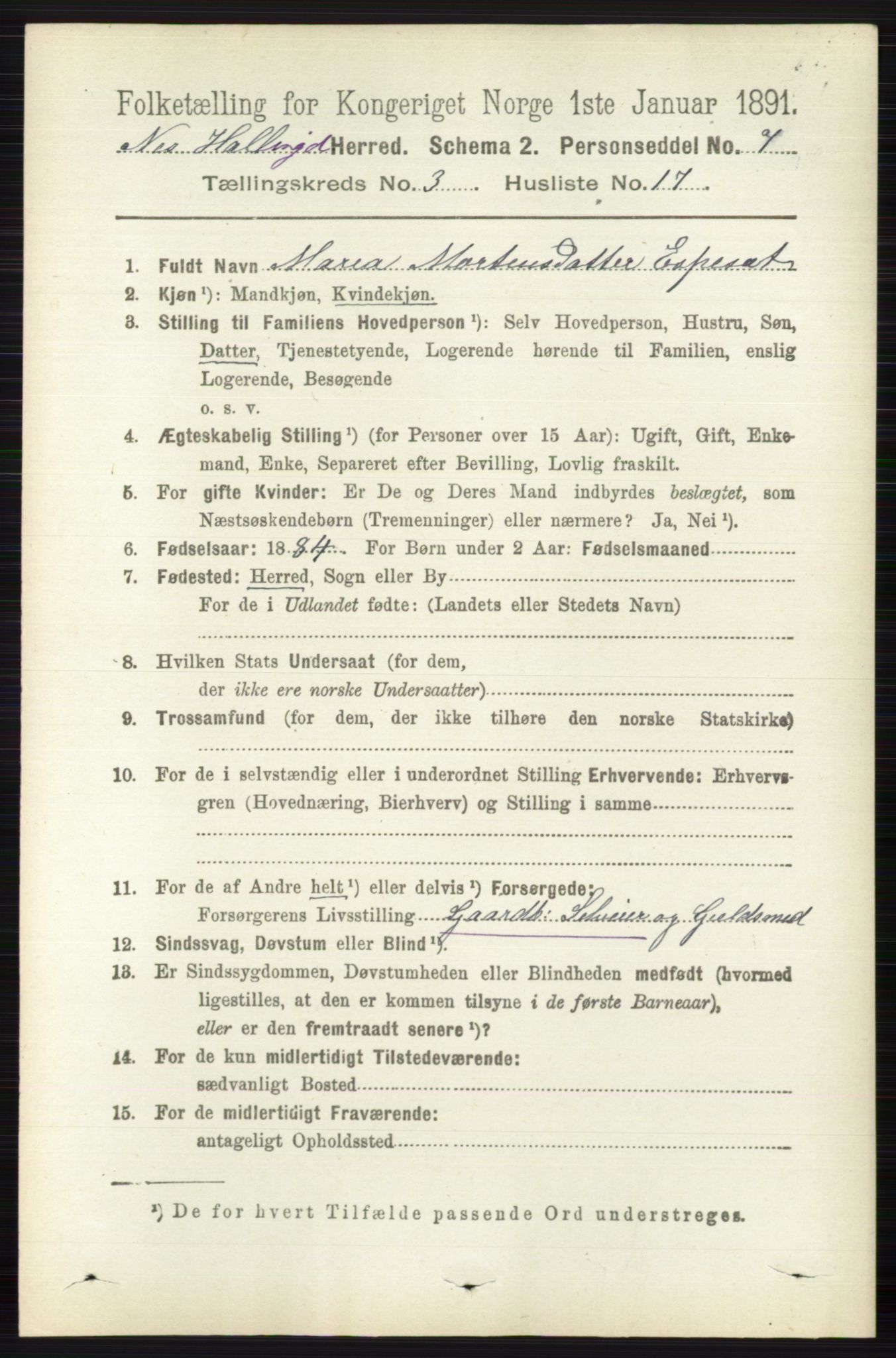 RA, 1891 census for 0616 Nes, 1891, p. 1601