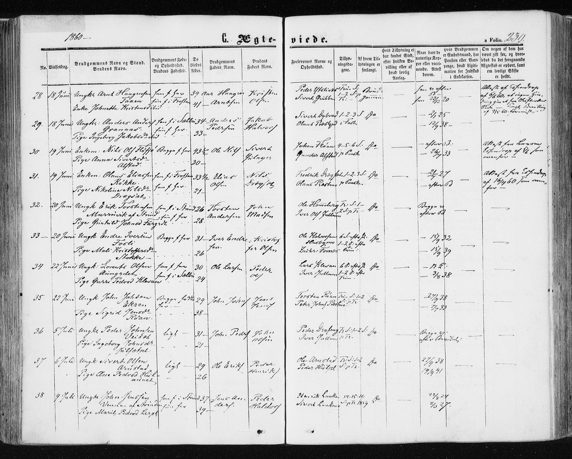 Ministerialprotokoller, klokkerbøker og fødselsregistre - Nord-Trøndelag, AV/SAT-A-1458/709/L0075: Parish register (official) no. 709A15, 1859-1870, p. 230