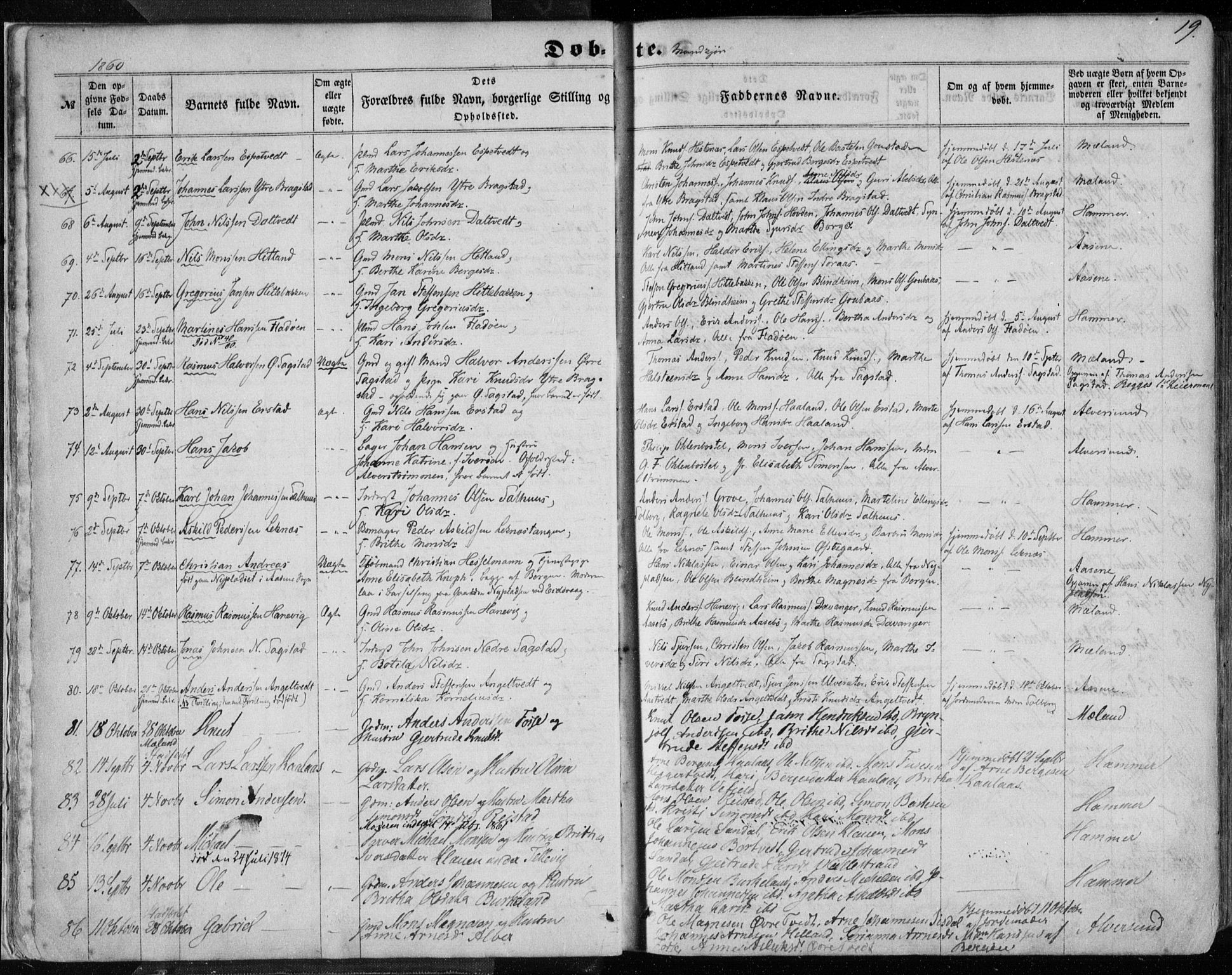 Hamre sokneprestembete, AV/SAB-A-75501/H/Ha/Haa/Haaa/L0014: Parish register (official) no. A 14, 1858-1872, p. 19