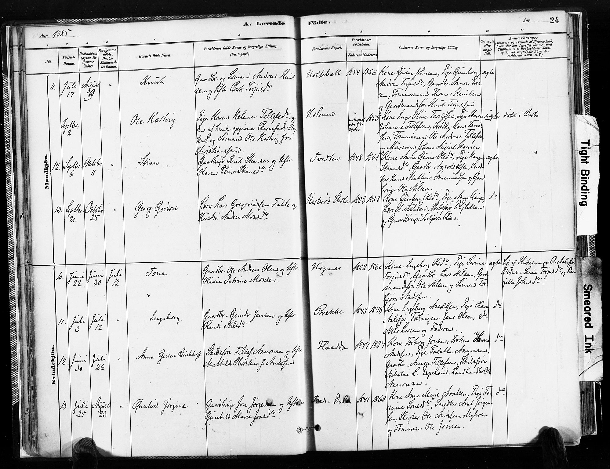 Austre Moland sokneprestkontor, SAK/1111-0001/F/Fa/Faa/L0010: Parish register (official) no. A 10, 1880-1904, p. 24