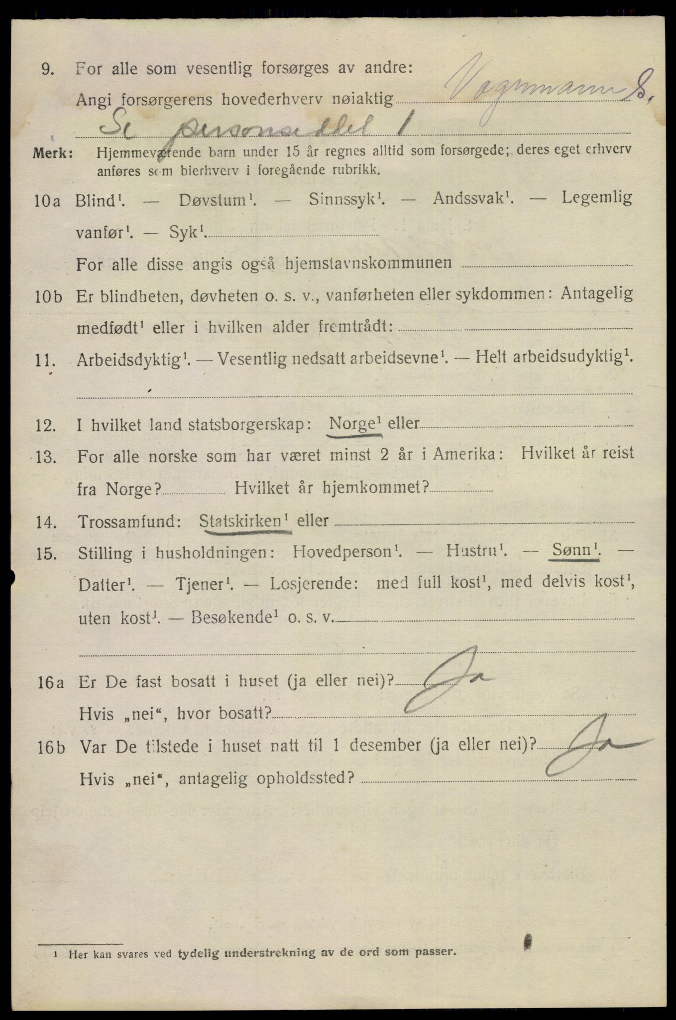 SAKO, 1920 census for Notodden, 1920, p. 11525