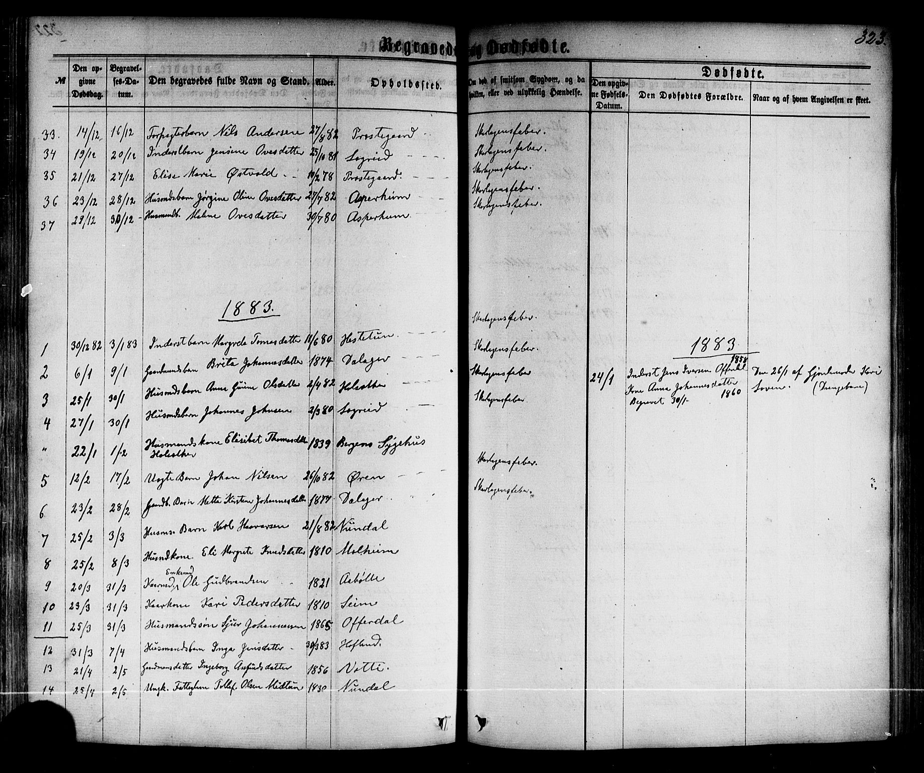 Årdal sokneprestembete, SAB/A-81701: Parish register (official) no. A 3, 1863-1886, p. 323