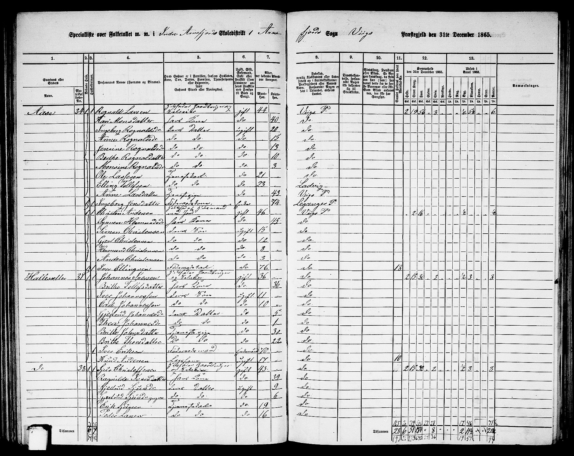 RA, 1865 census for Vik, 1865, p. 88