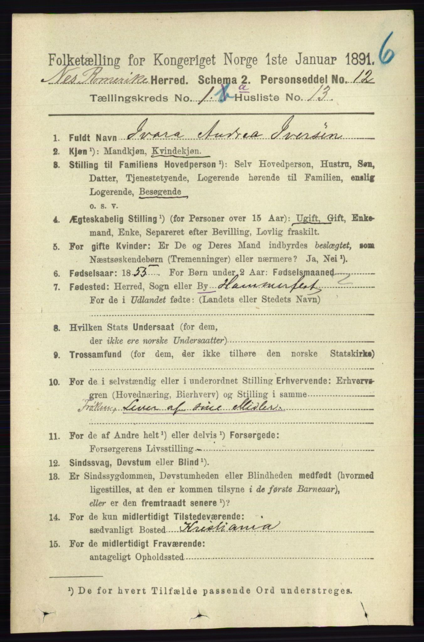RA, 1891 census for 0236 Nes, 1891, p. 197