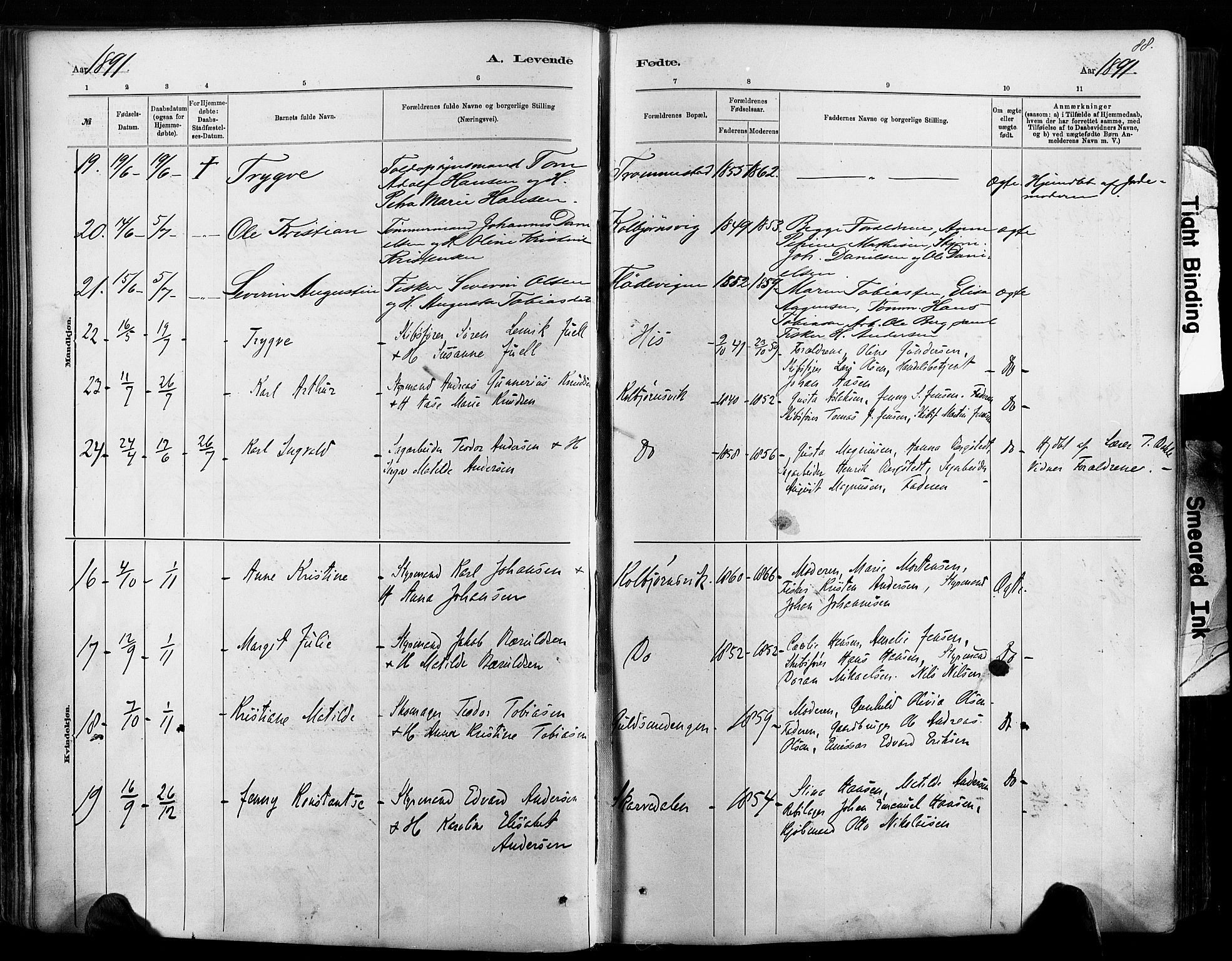 Hisøy sokneprestkontor, AV/SAK-1111-0020/F/Fa/L0003: Parish register (official) no. A 3, 1881-1894, p. 88