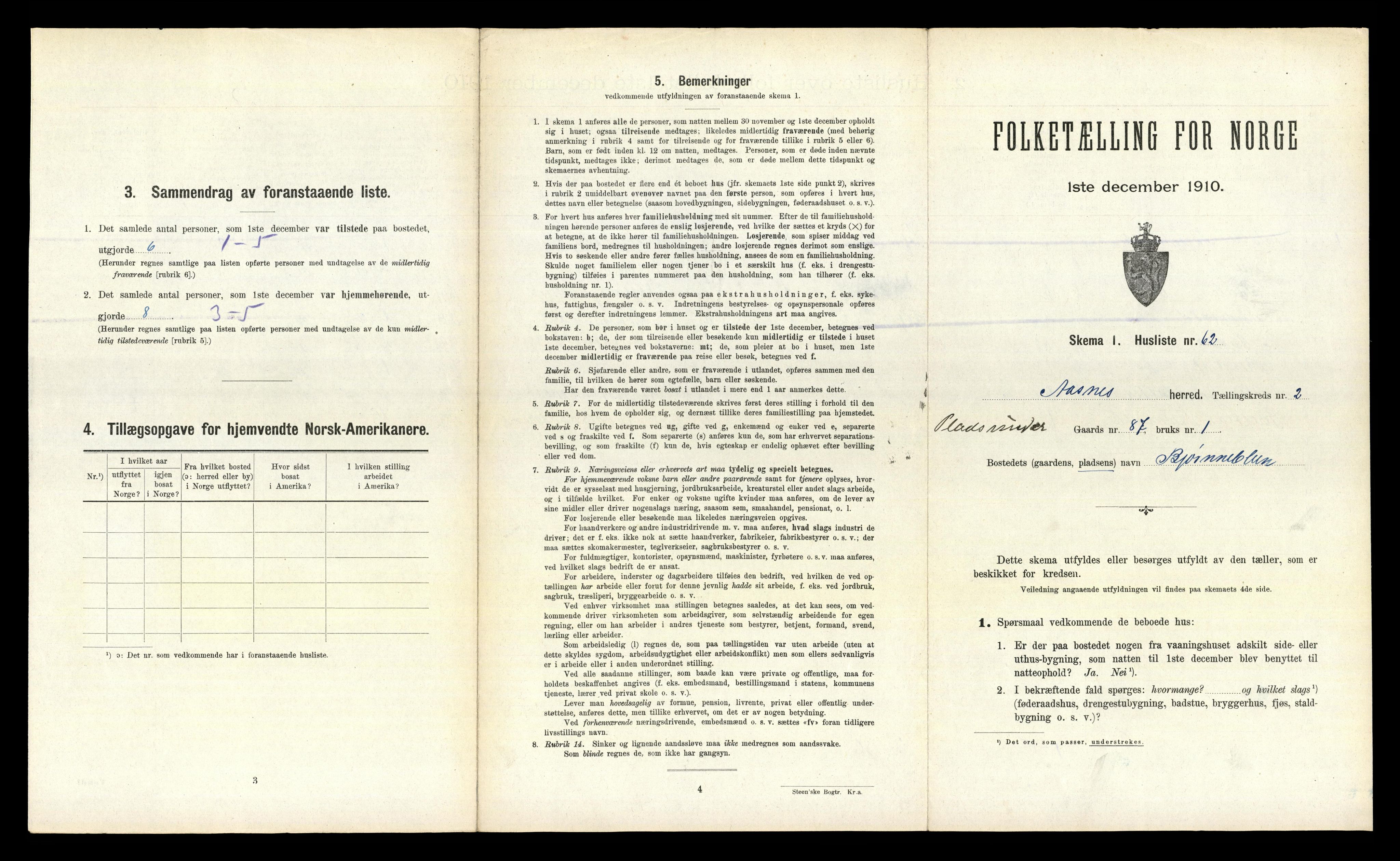 RA, 1910 census for Åsnes, 1910, p. 246