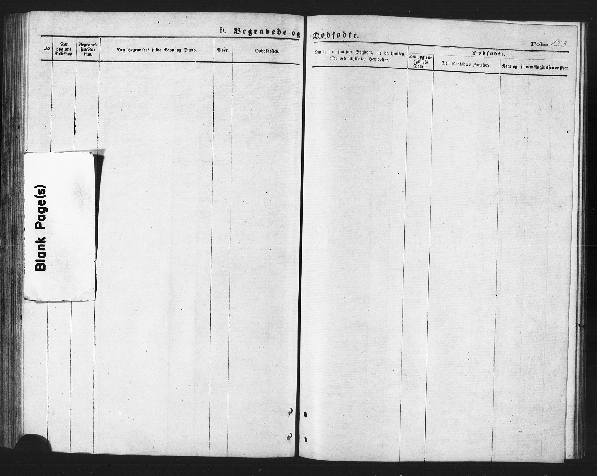 Berg sokneprestkontor, AV/SATØ-S-1318/G/Ga/Gaa/L0003kirke: Parish register (official) no. 3, 1872-1879, p. 123