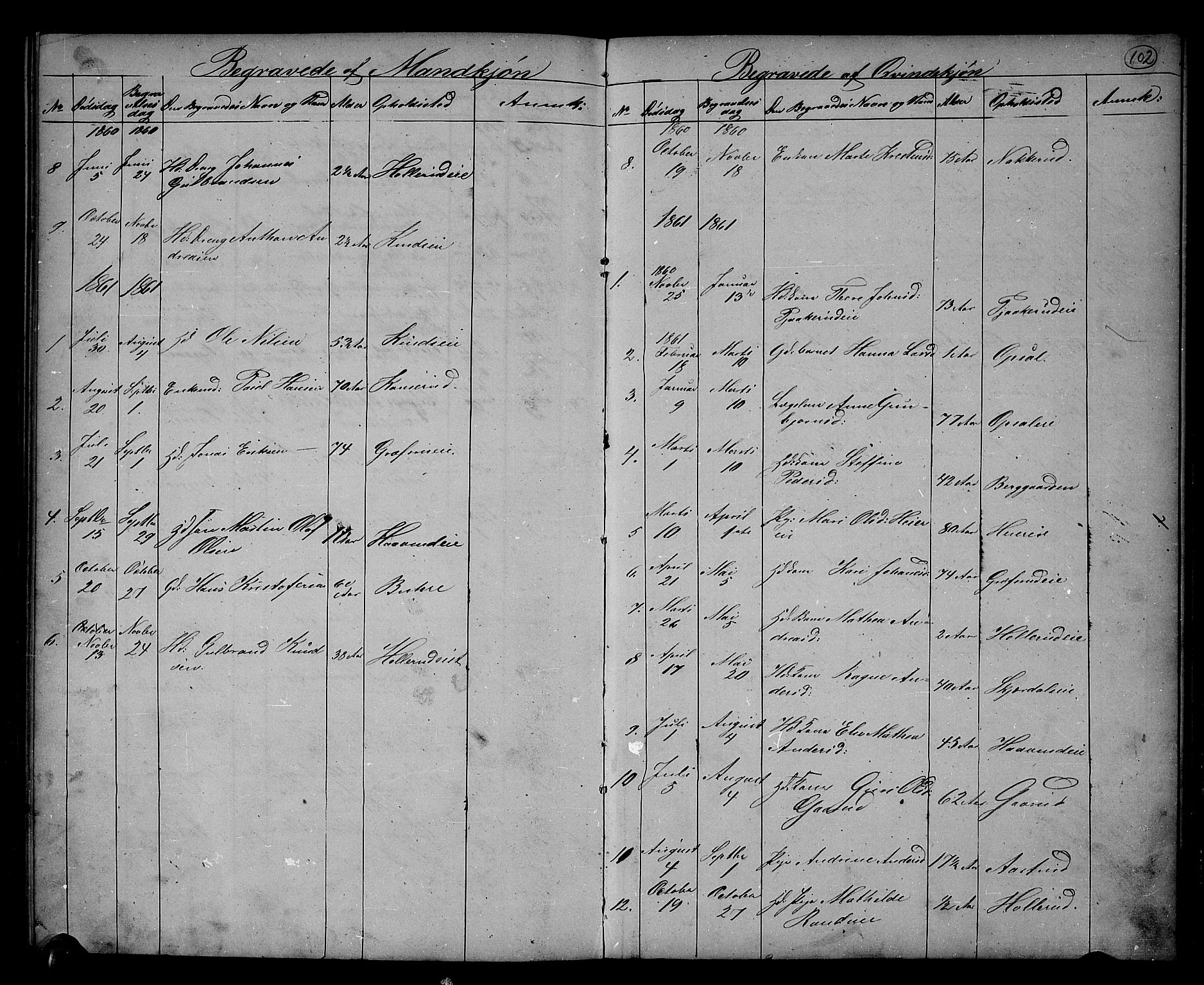 Hole kirkebøker, SAKO/A-228/G/Gb/L0001: Parish register (copy) no. II 1, 1859-1878, p. 102