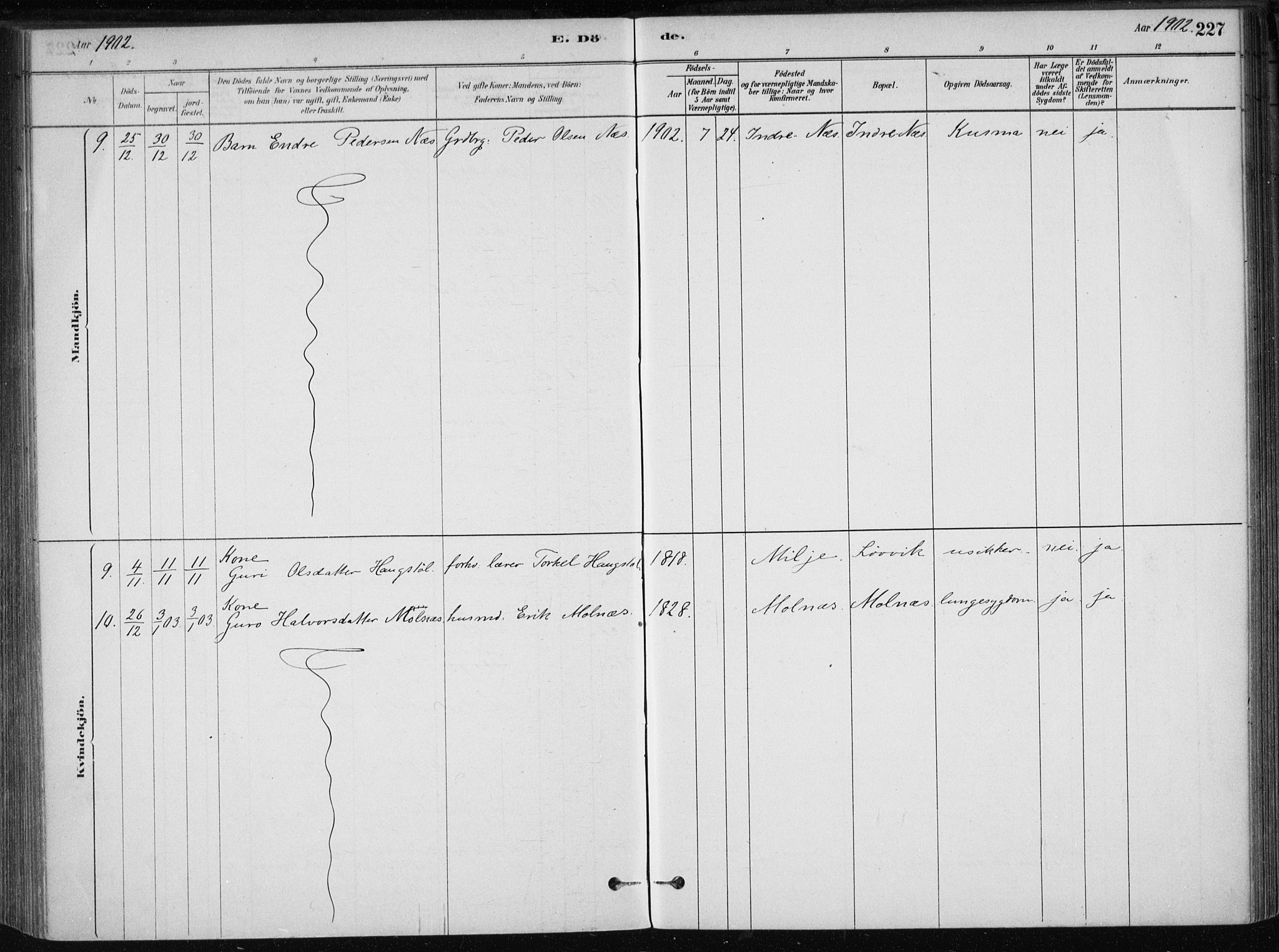 Skånevik sokneprestembete, SAB/A-77801/H/Haa: Parish register (official) no. B 1, 1879-1914, p. 227