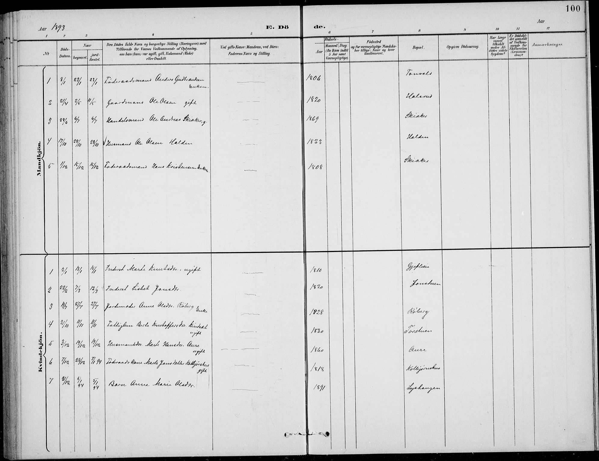 Nordre Land prestekontor, SAH/PREST-124/H/Ha/Hab/L0014: Parish register (copy) no. 14, 1891-1907, p. 100