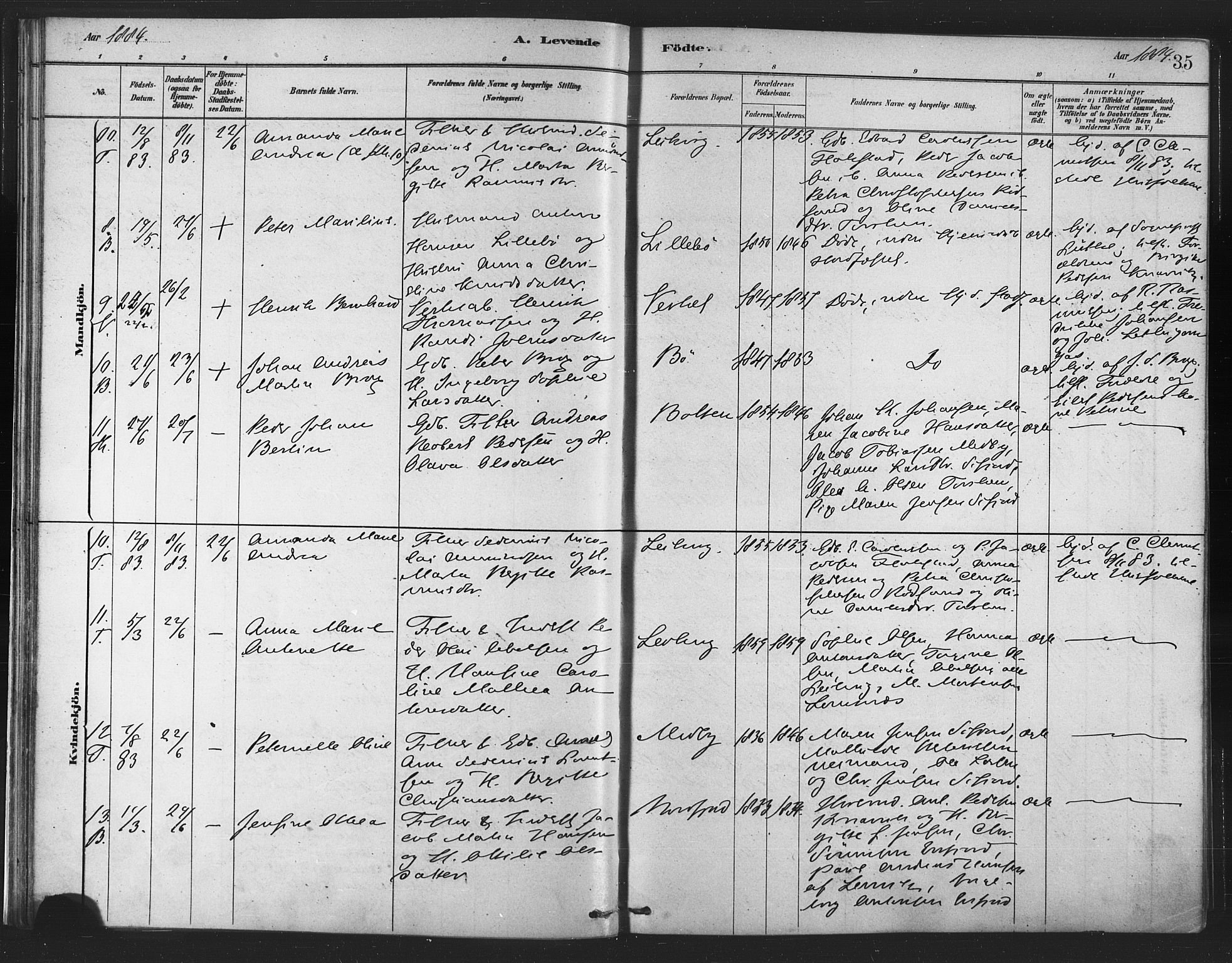 Berg sokneprestkontor, AV/SATØ-S-1318/G/Ga/Gaa/L0004kirke: Parish register (official) no. 4, 1880-1894, p. 35