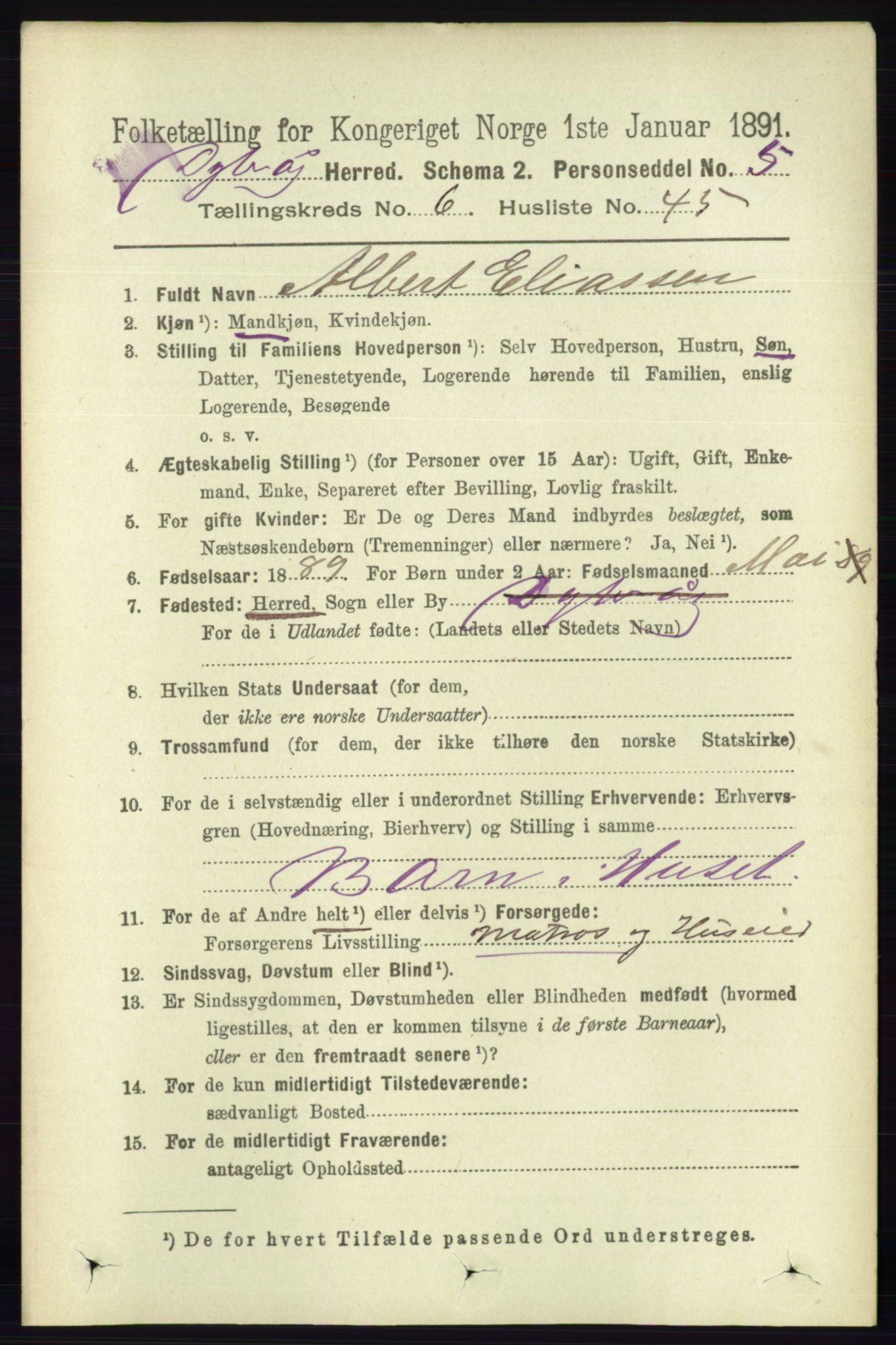 RA, 1891 census for 0915 Dypvåg, 1891, p. 2045