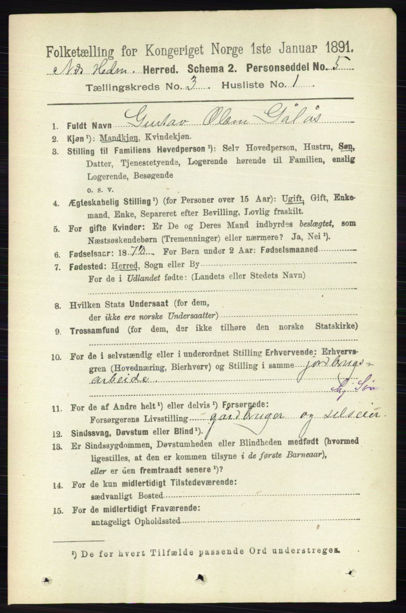 RA, 1891 census for 0411 Nes, 1891, p. 1592