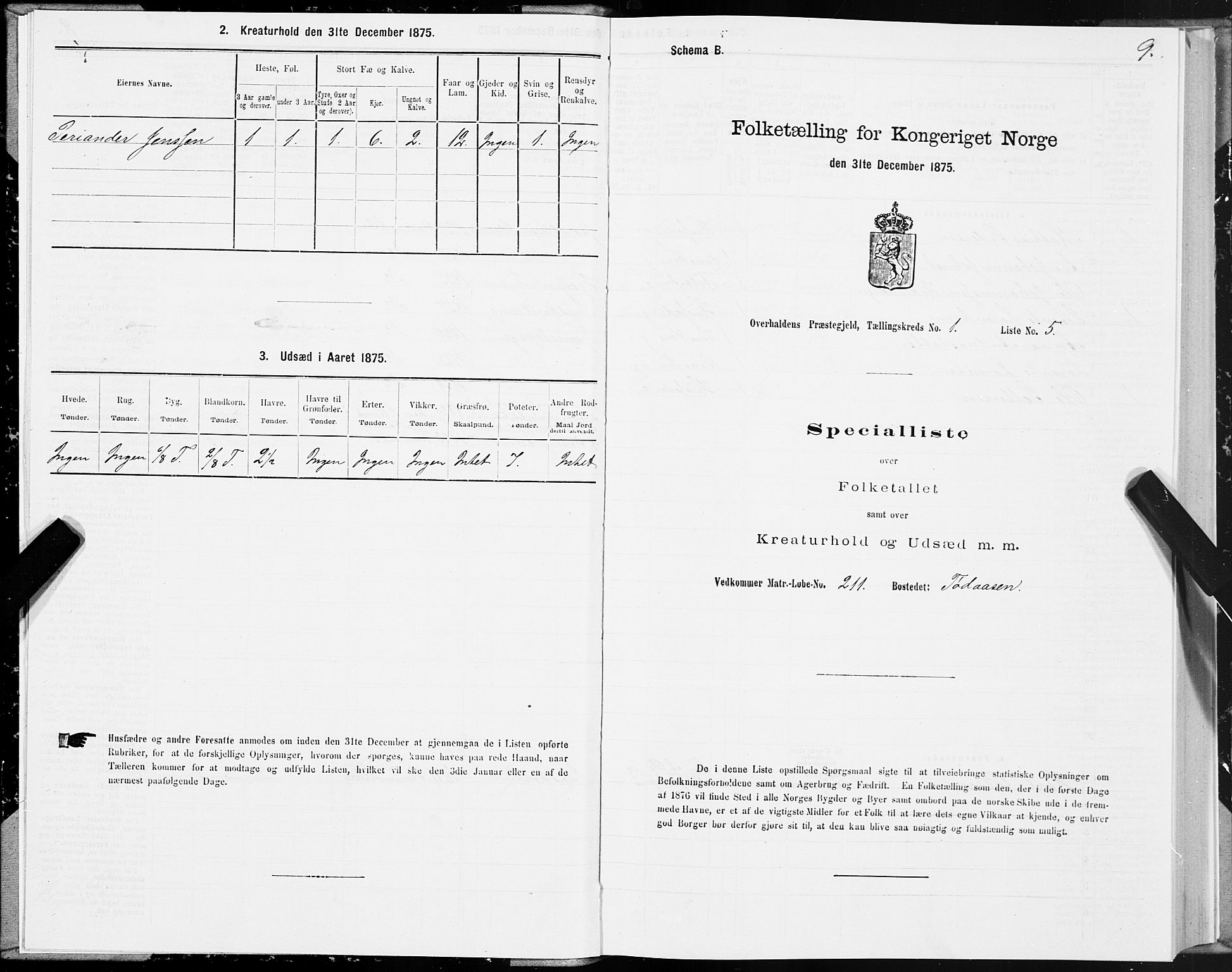 SAT, 1875 census for 1744P Overhalla, 1875, p. 1009