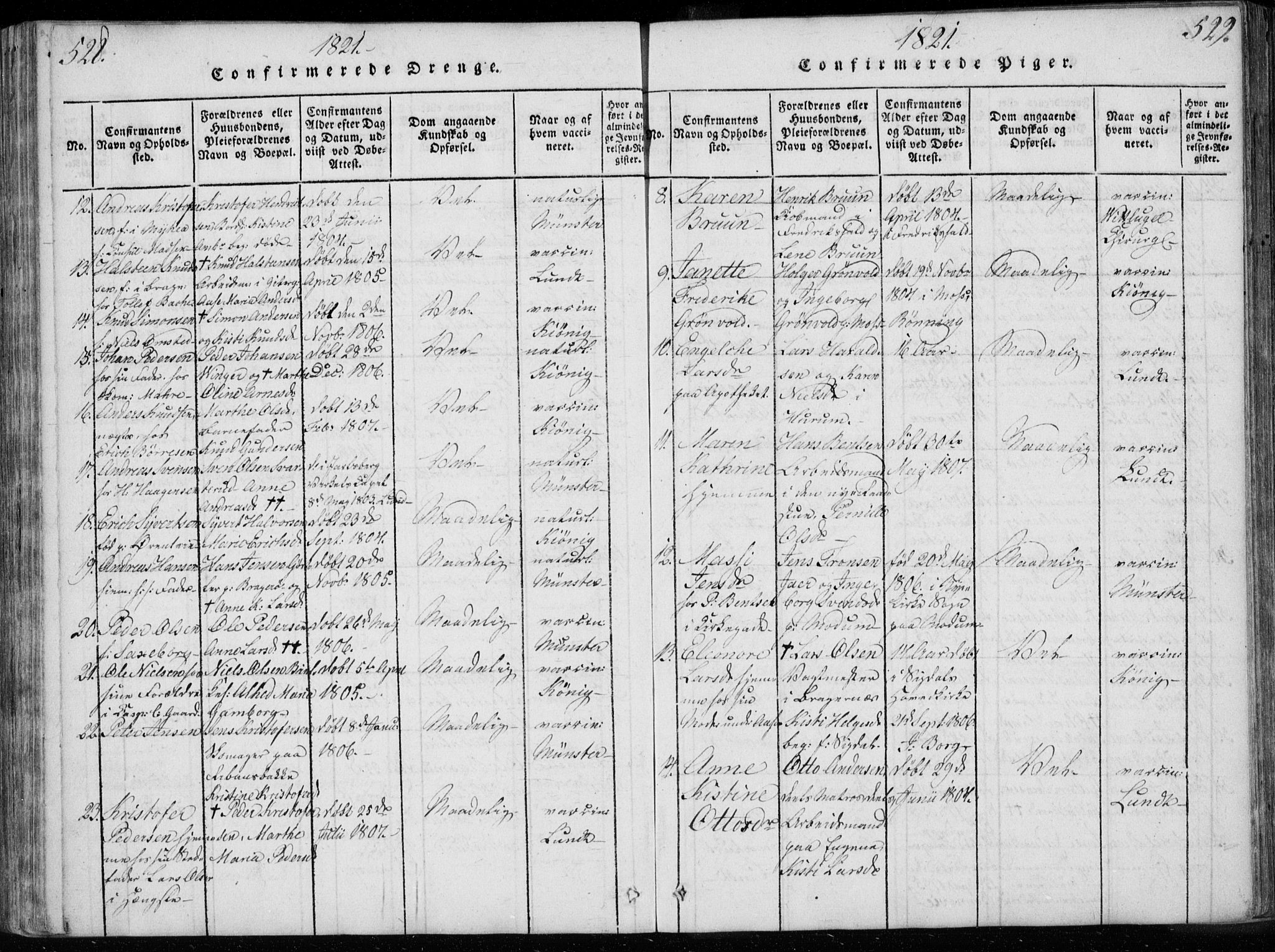 Bragernes kirkebøker, AV/SAKO-A-6/F/Fa/L0007: Parish register (official) no. I 7, 1815-1829, p. 528-529