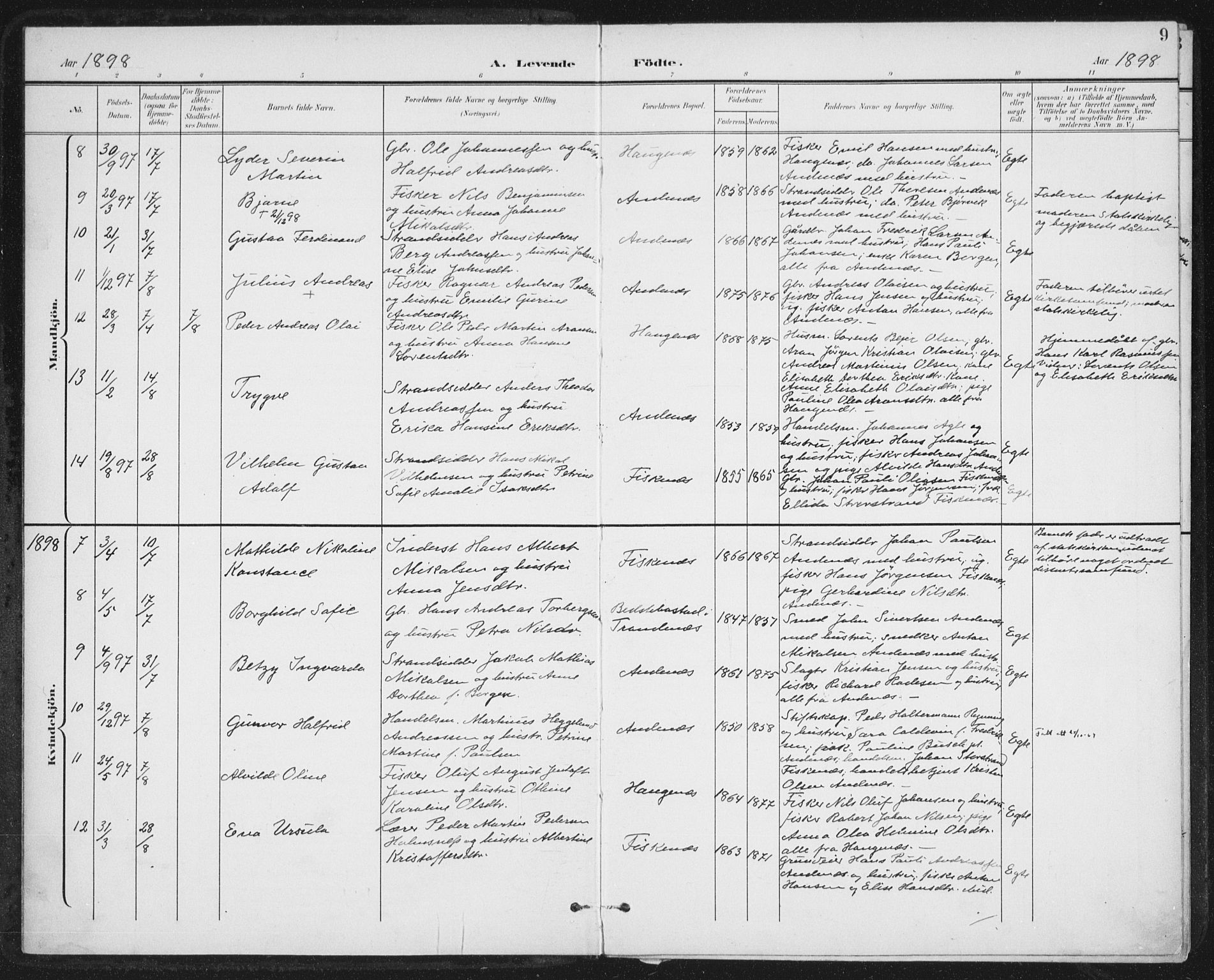 Ministerialprotokoller, klokkerbøker og fødselsregistre - Nordland, AV/SAT-A-1459/899/L1437: Parish register (official) no. 899A05, 1897-1908, p. 9