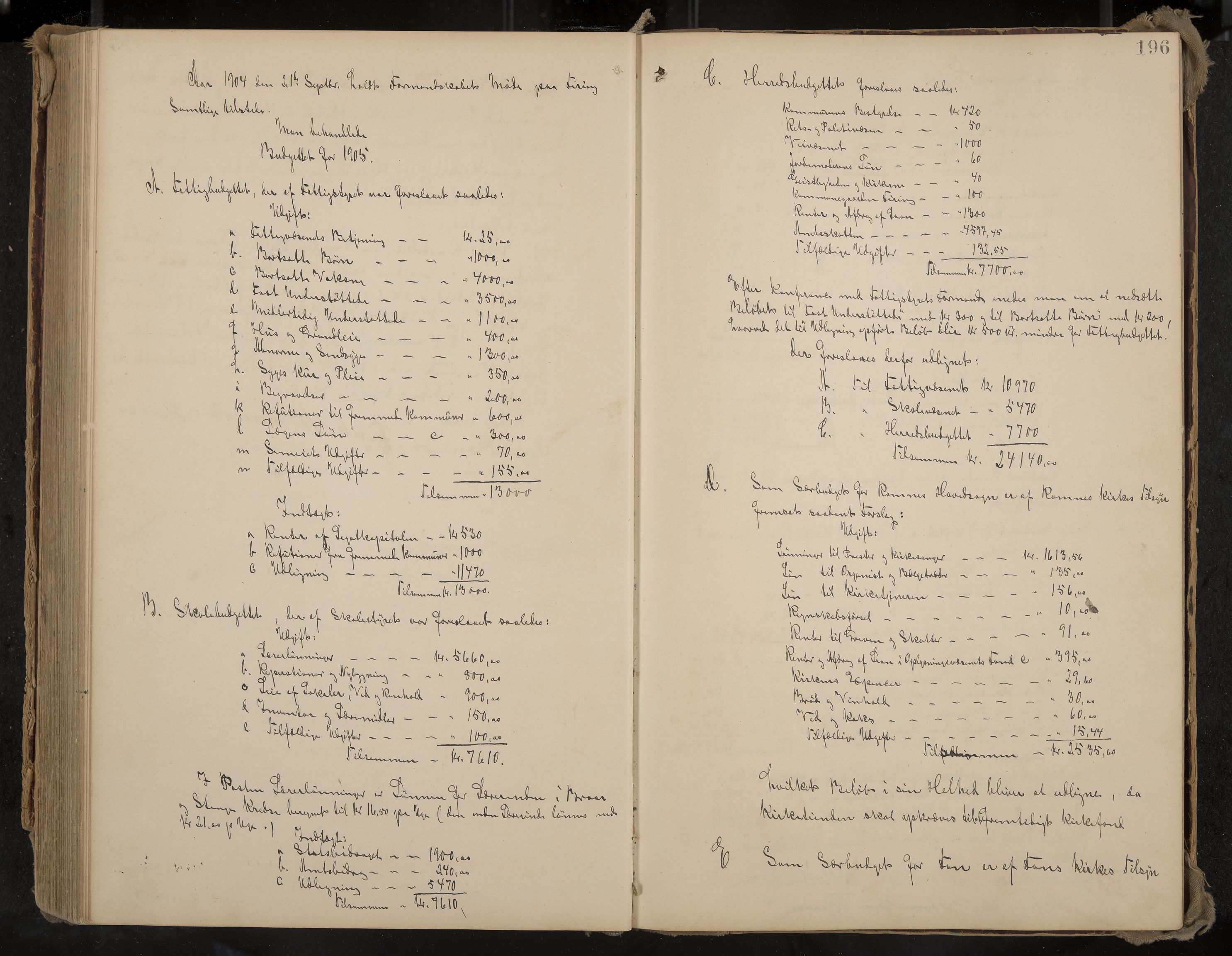 Ramnes formannskap og sentraladministrasjon, IKAK/0718021/A/Aa/L0004: Møtebok, 1892-1907, p. 196
