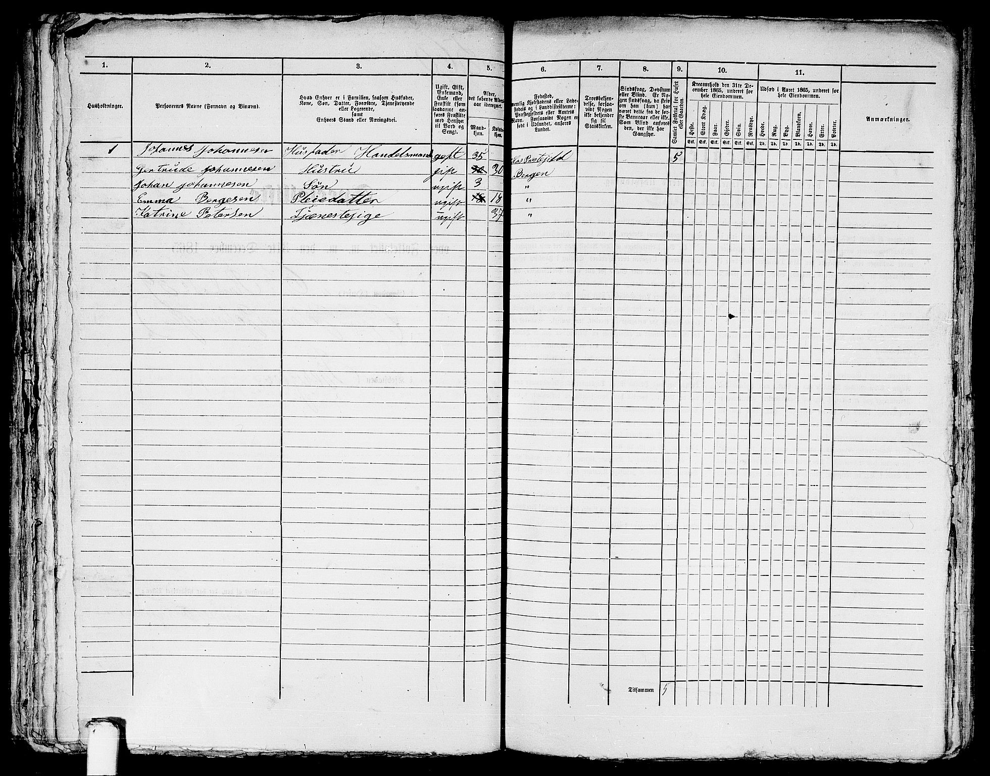 RA, 1865 census for Bergen, 1865, p. 1185