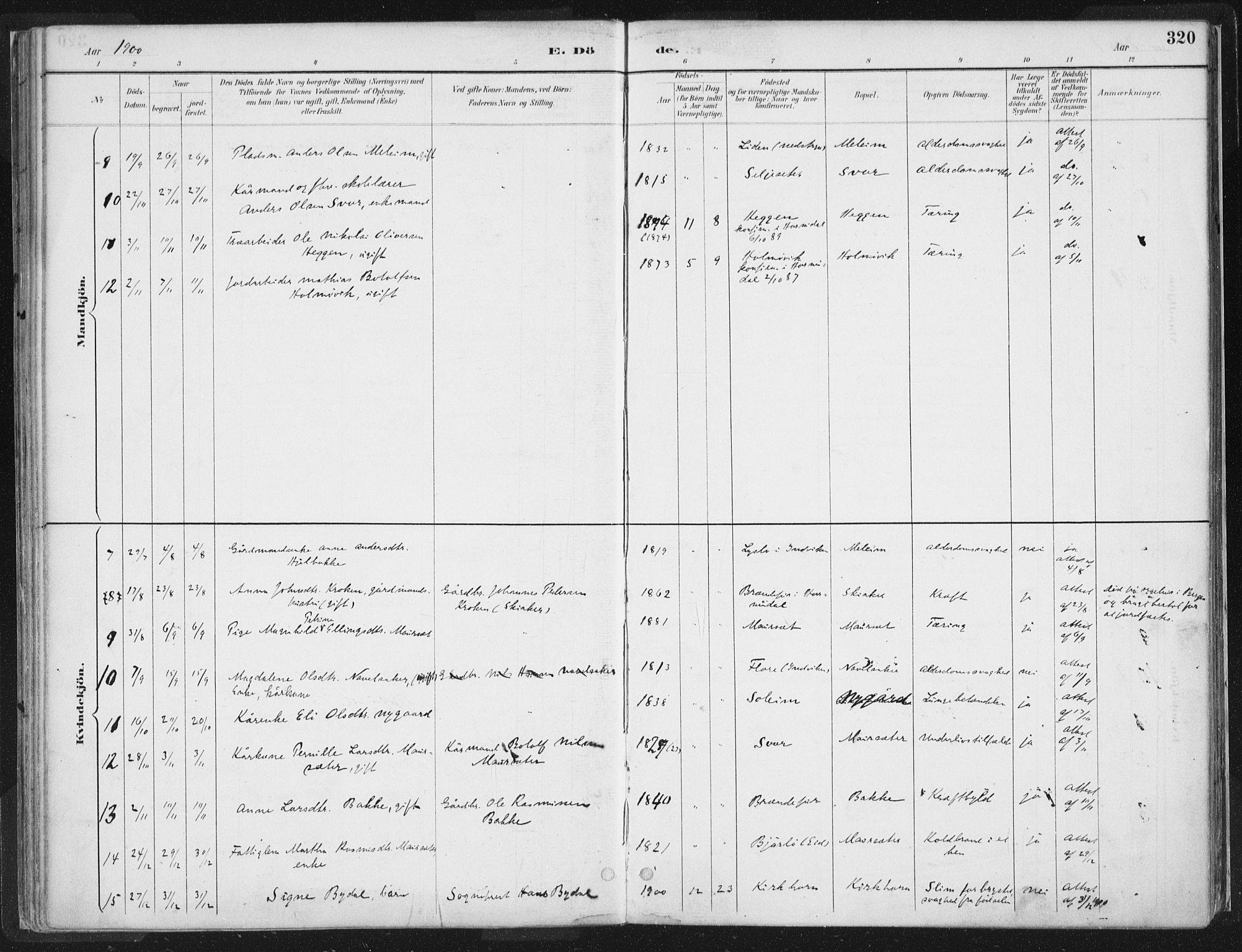 Hornindal sokneprestembete, AV/SAB-A-82401/H/Haa/Haaa/L0003/0002: Parish register (official) no. A 3B, 1885-1917, p. 320