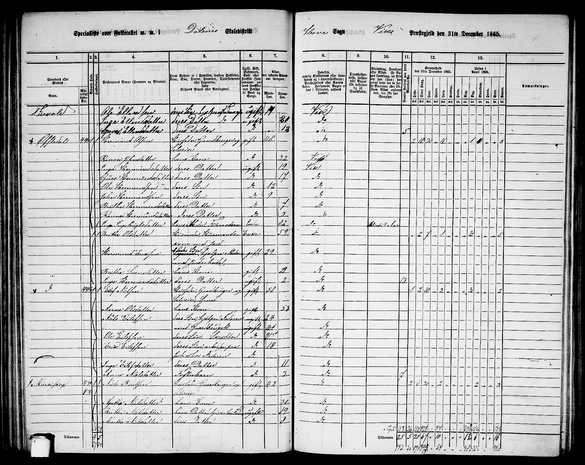 RA, 1865 census for Vik, 1865, p. 62