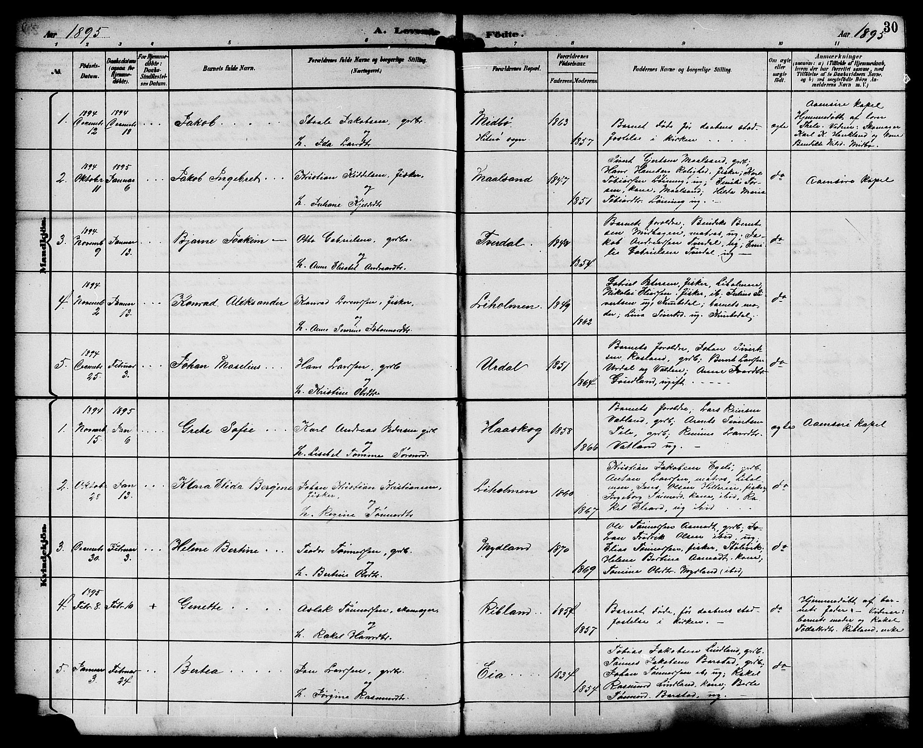 Sokndal sokneprestkontor, SAST/A-101808: Parish register (copy) no. B 6, 1892-1907, p. 30