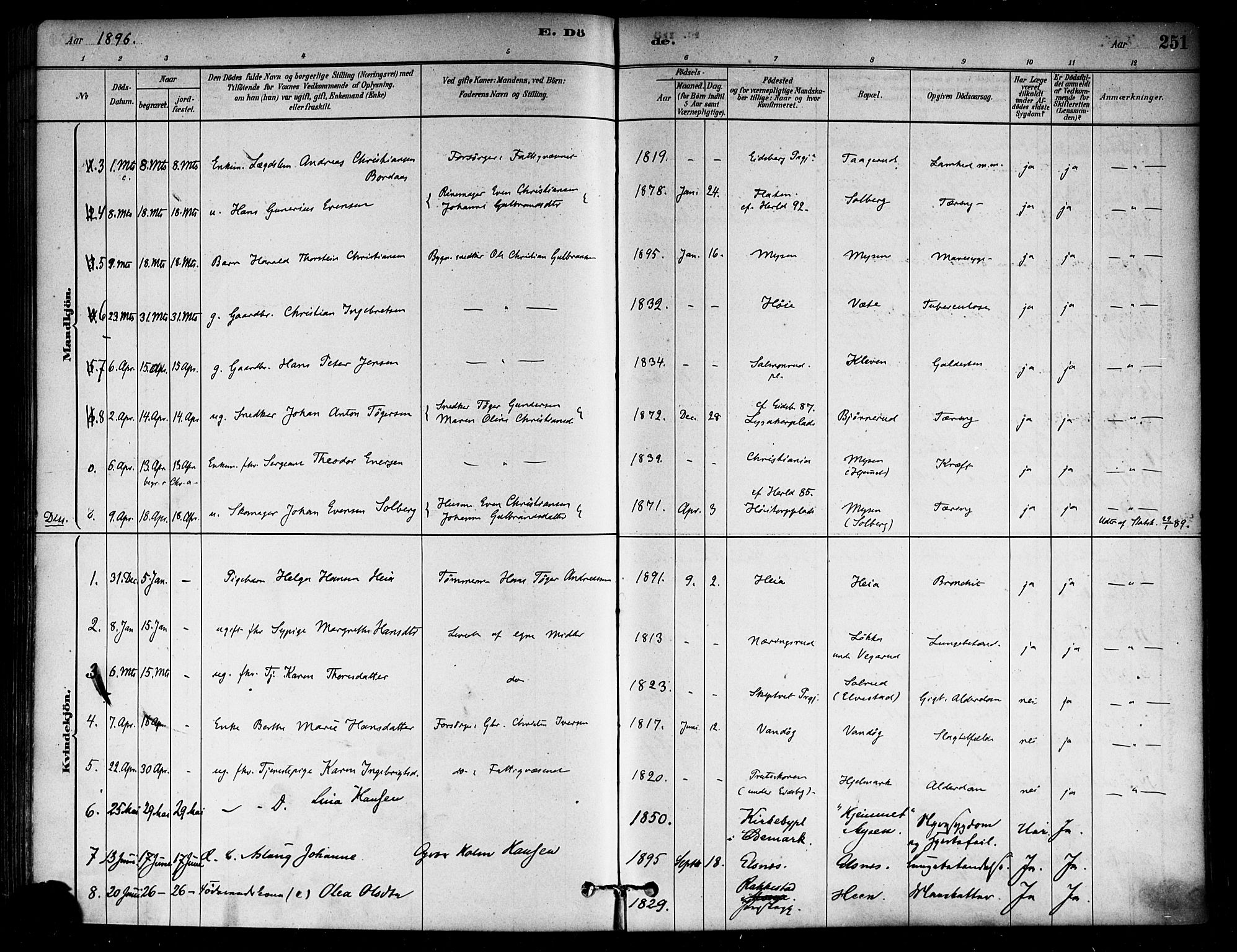 Eidsberg prestekontor Kirkebøker, AV/SAO-A-10905/F/Fa/L0012: Parish register (official) no. I 12, 1879-1901, p. 251