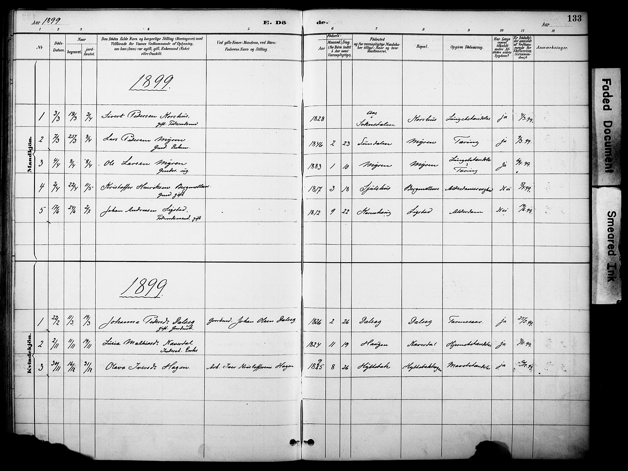 Kvikne prestekontor, SAH/PREST-064/H/Ha/Haa/L0007: Parish register (official) no. 7, 1887-1911, p. 133