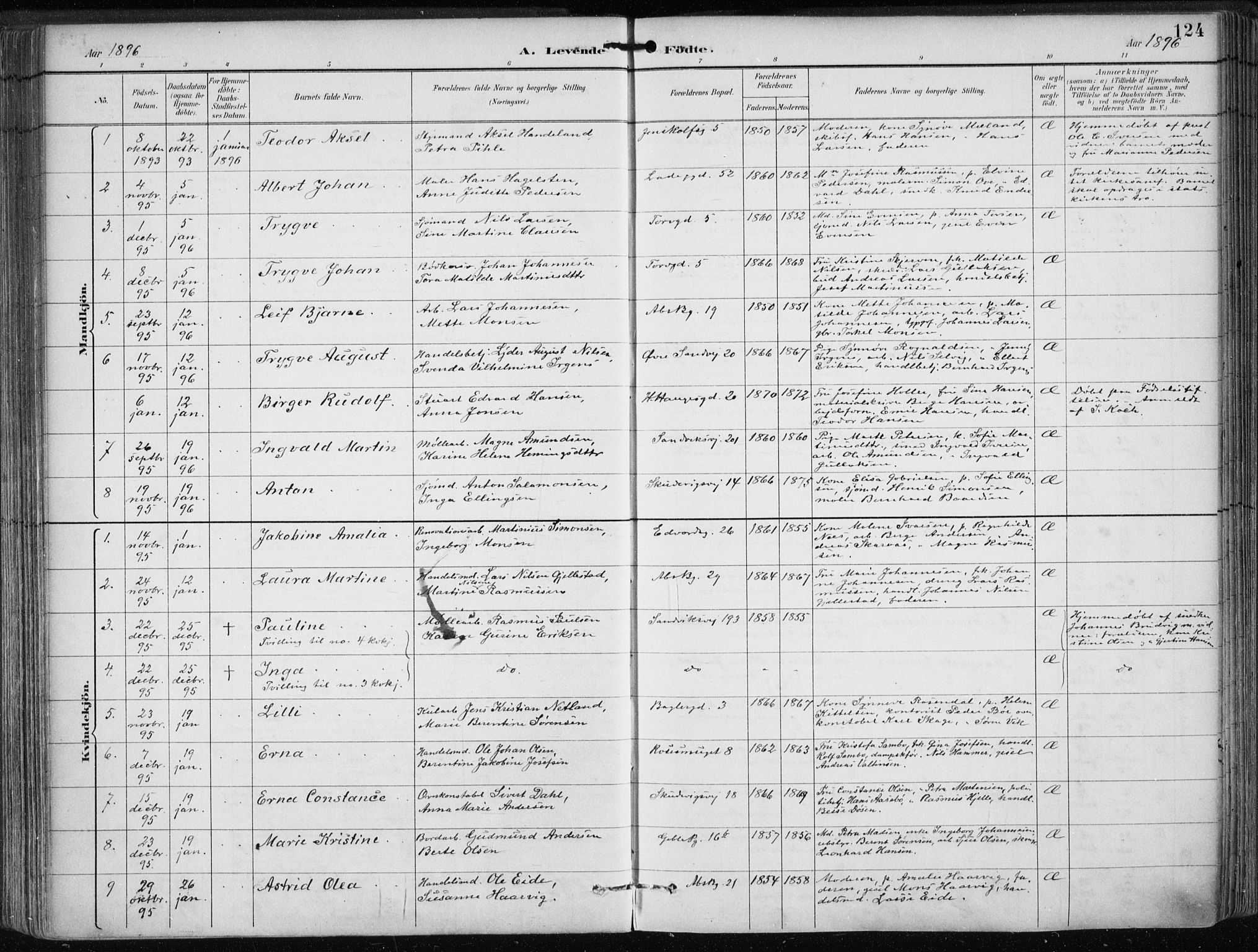 Sandviken Sokneprestembete, SAB/A-77601/H/Ha/L0005: Parish register (official) no. B 2, 1891-1901, p. 124