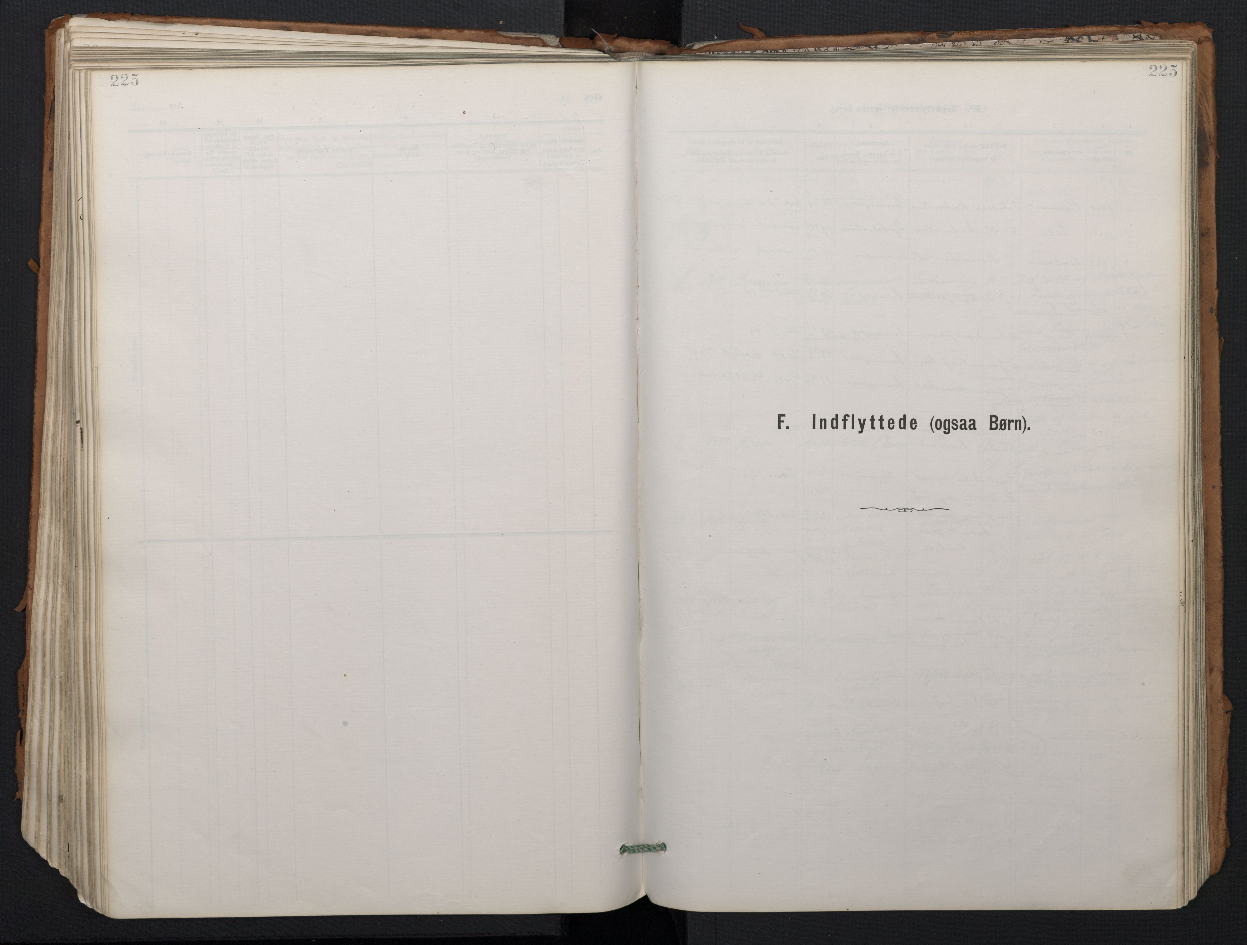 Ministerialprotokoller, klokkerbøker og fødselsregistre - Nordland, SAT/A-1459/824/L0338: Parish register (official) no. 824A01, 1880-1915, p. 224