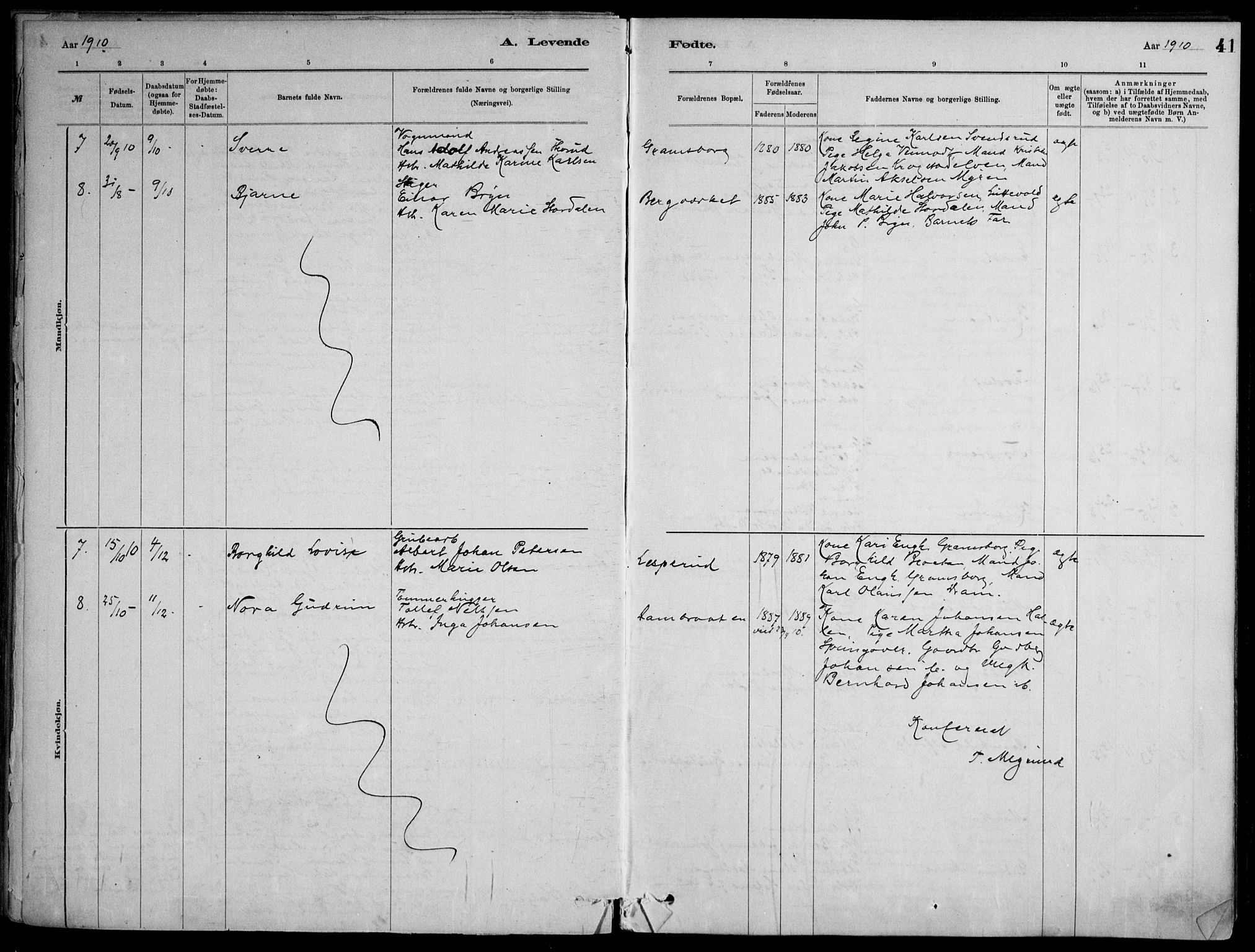 Skoger kirkebøker, SAKO/A-59/F/Fb/L0001: Parish register (official) no. II 1, 1885-1913, p. 41