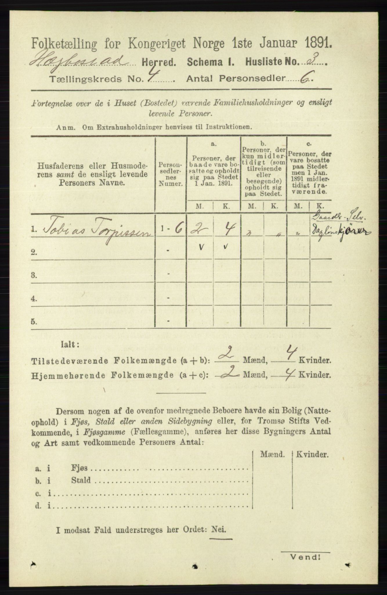 RA, 1891 census for 1034 Hægebostad, 1891, p. 1147