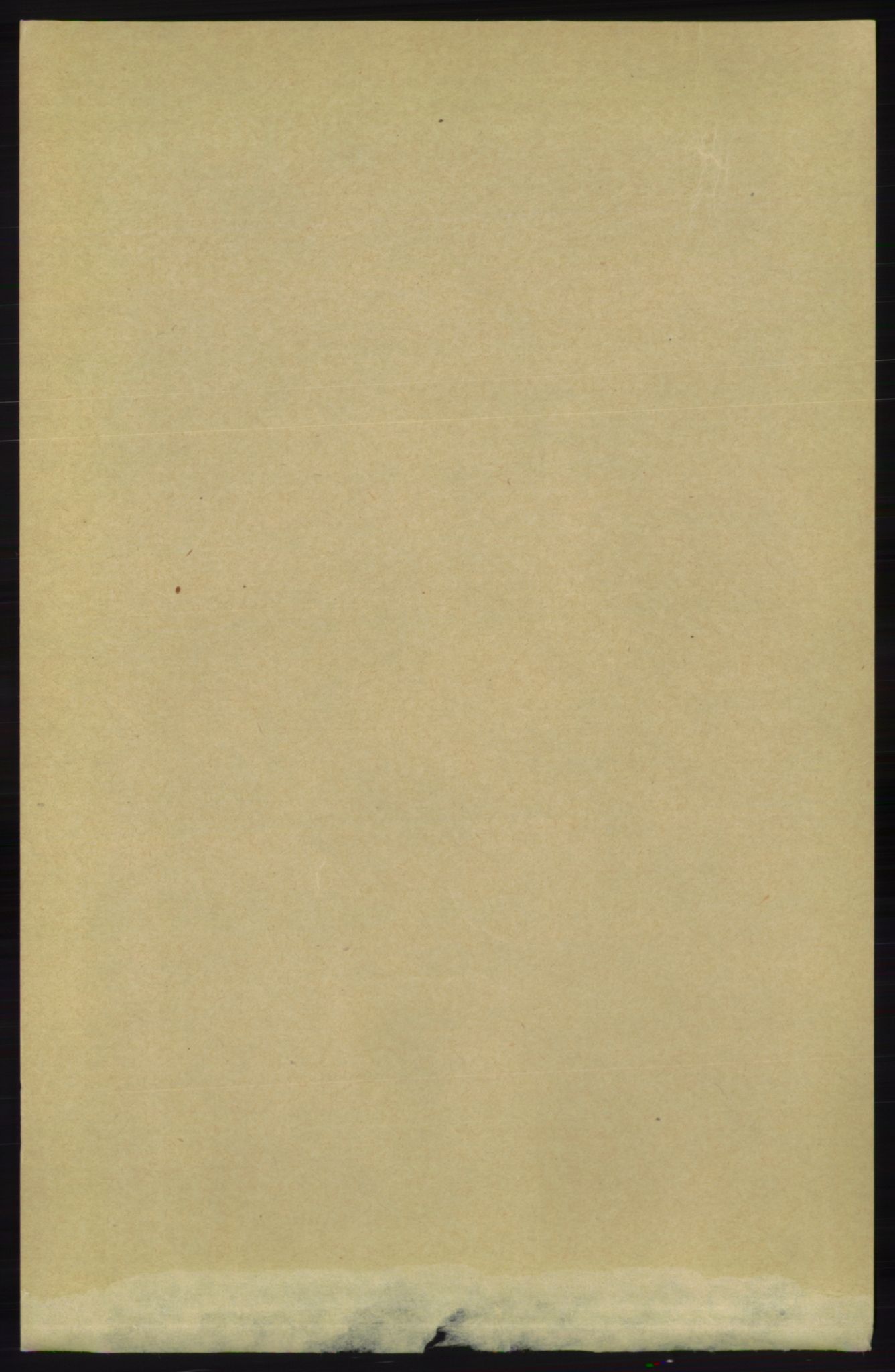 RA, 1891 census for 1157 Vikedal, 1891, p. 928