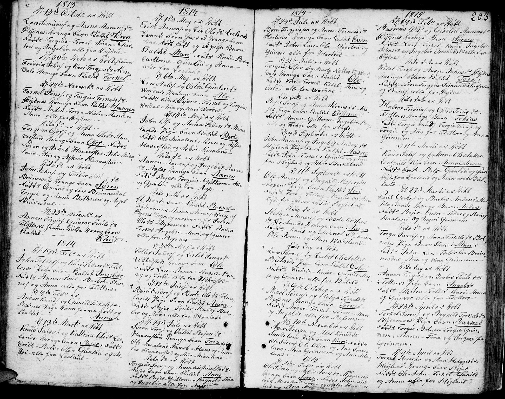 Bjelland sokneprestkontor, SAK/1111-0005/F/Fa/Faa/L0001: Parish register (official) no. A 1 /3, 1793-1815, p. 203