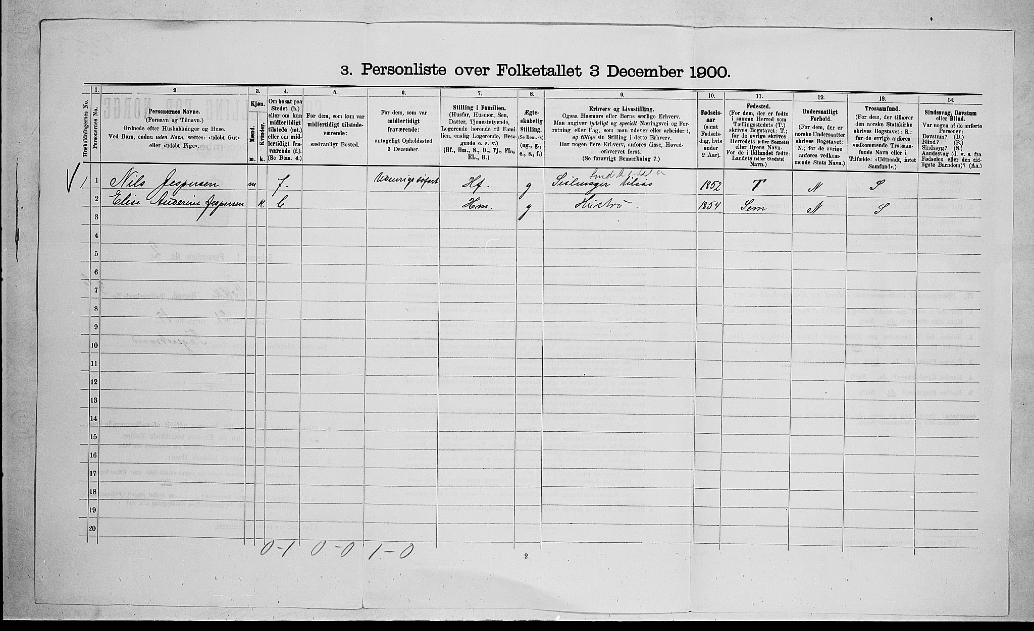 RA, 1900 census for Stokke, 1900, p. 688