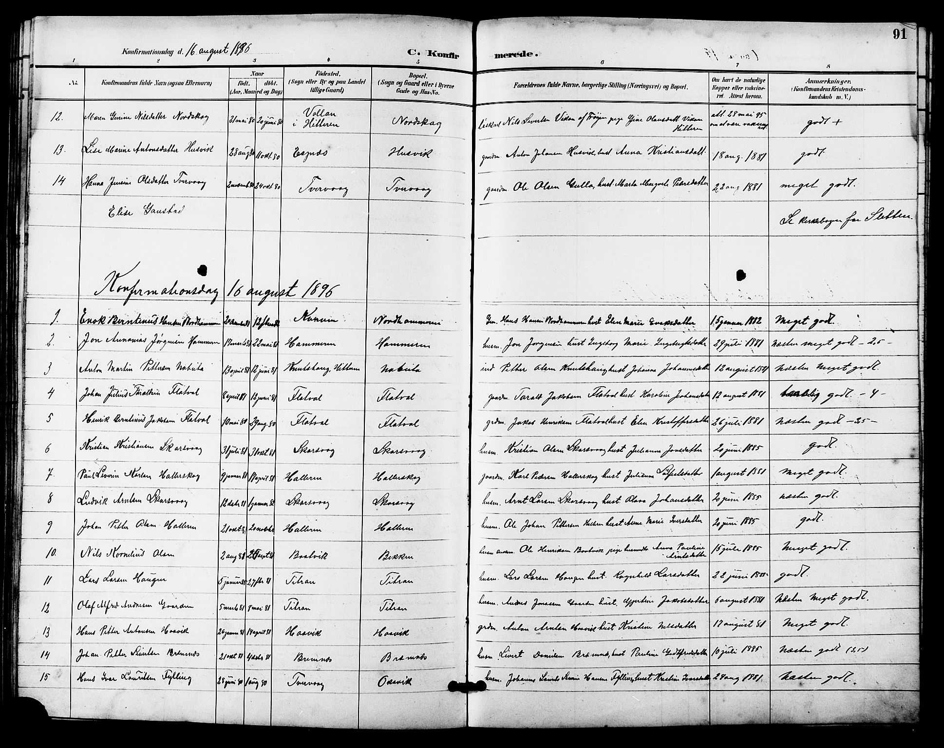Ministerialprotokoller, klokkerbøker og fødselsregistre - Sør-Trøndelag, SAT/A-1456/641/L0598: Parish register (copy) no. 641C02, 1893-1910, p. 91