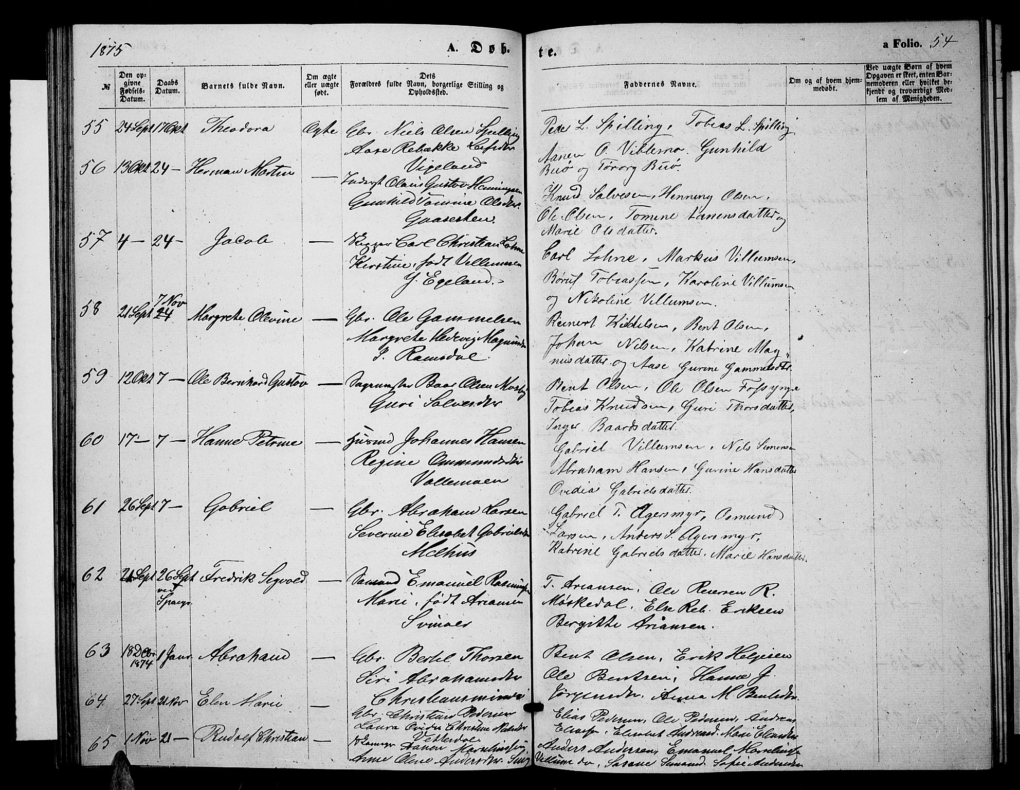 Sør-Audnedal sokneprestkontor, AV/SAK-1111-0039/F/Fb/Fbb/L0004: Parish register (copy) no. B 4, 1868-1879, p. 54