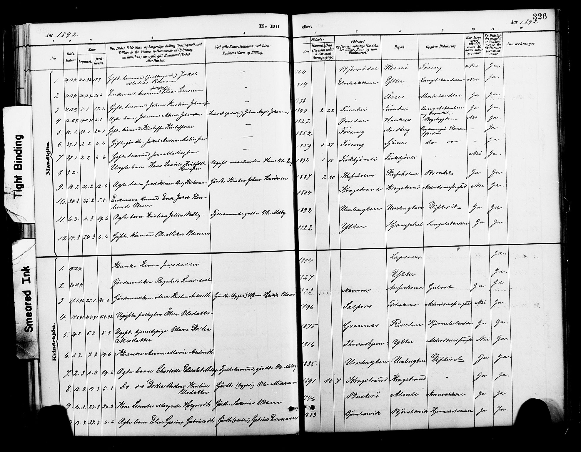 Ministerialprotokoller, klokkerbøker og fødselsregistre - Nordland, AV/SAT-A-1459/827/L0421: Parish register (copy) no. 827C10, 1887-1906, p. 326