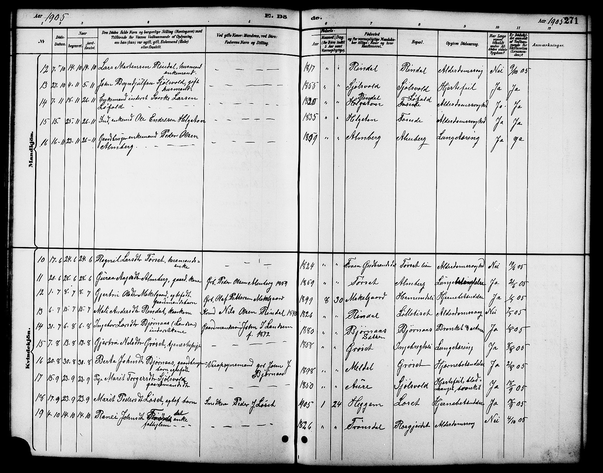 Ministerialprotokoller, klokkerbøker og fødselsregistre - Møre og Romsdal, SAT/A-1454/598/L1078: Parish register (copy) no. 598C03, 1892-1909, p. 271