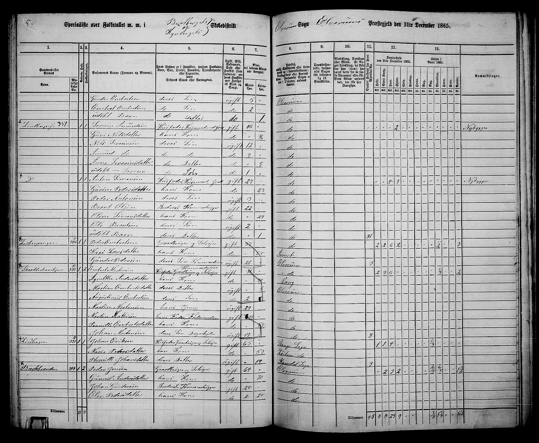 RA, 1865 census for Elverum, 1865, p. 221