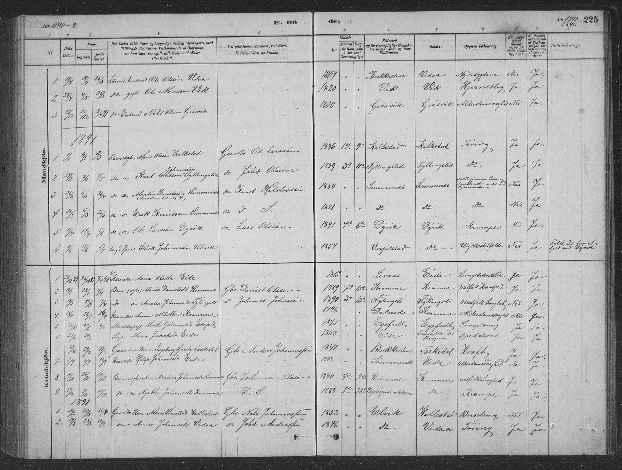 Vaksdal Sokneprestembete, AV/SAB-A-78901/H/Hab: Parish register (copy) no. D 1, 1878-1939, p. 225