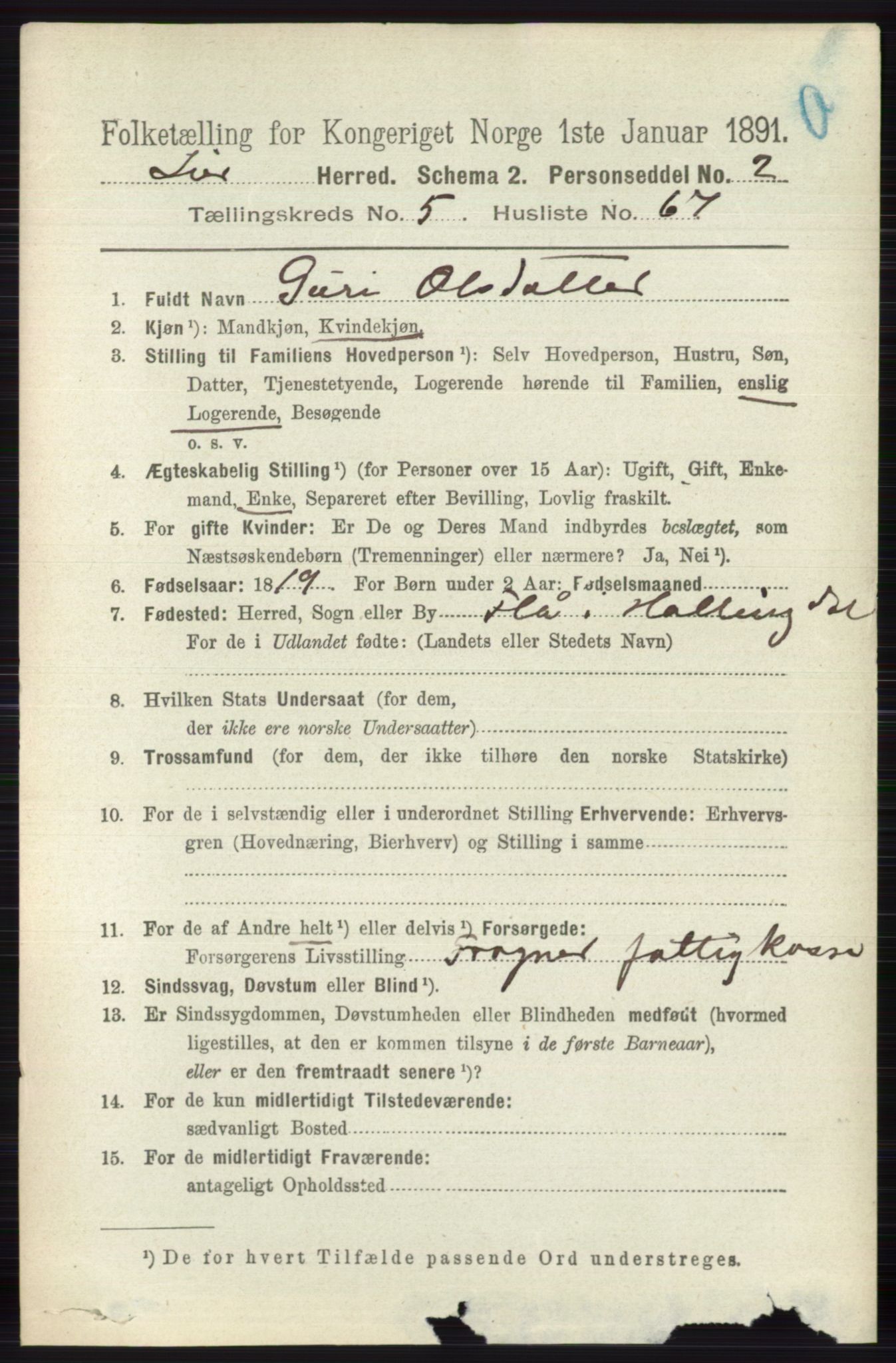 RA, 1891 census for 0626 Lier, 1891, p. 3655