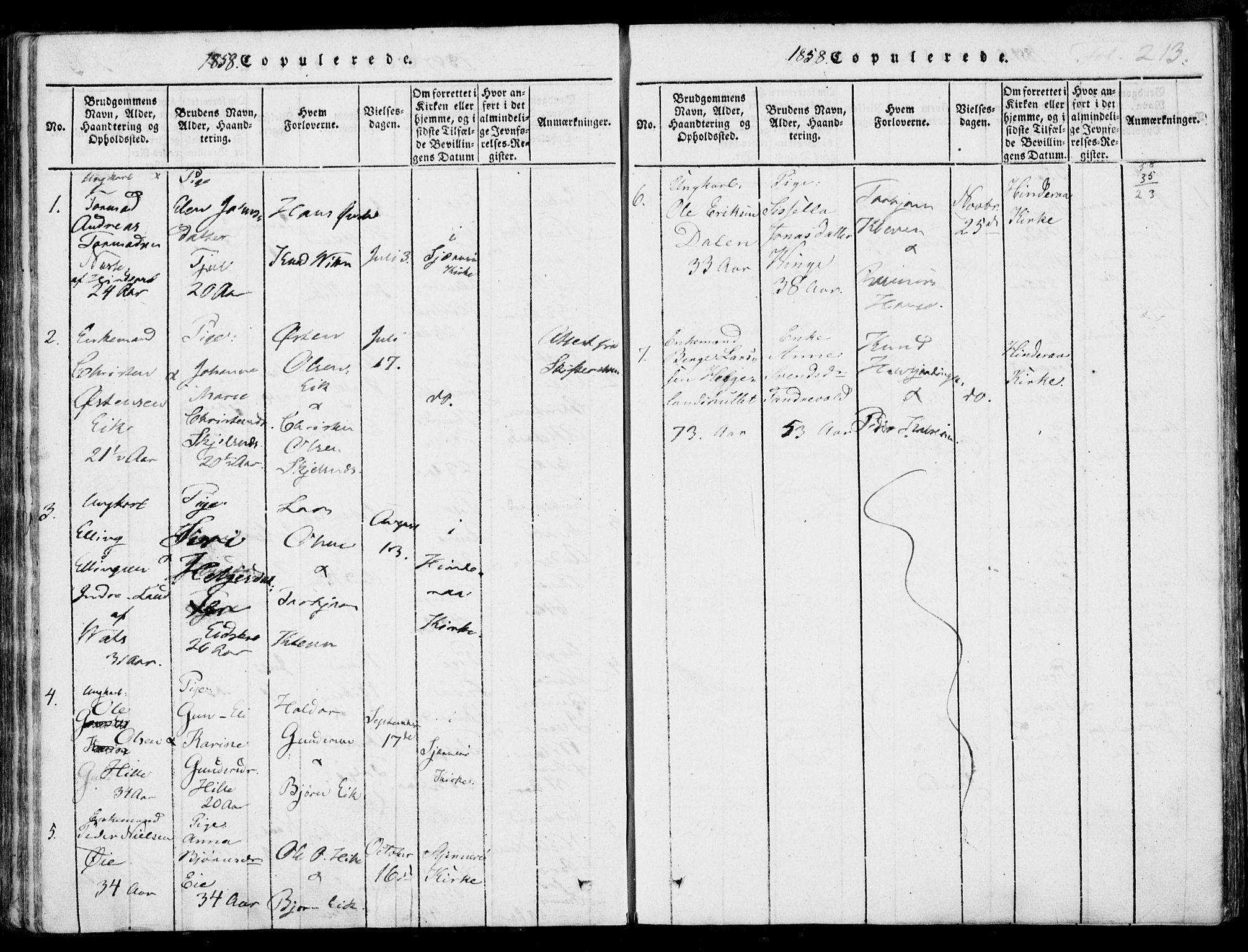 Nedstrand sokneprestkontor, AV/SAST-A-101841/01/IV: Parish register (official) no. A 7, 1816-1870, p. 213