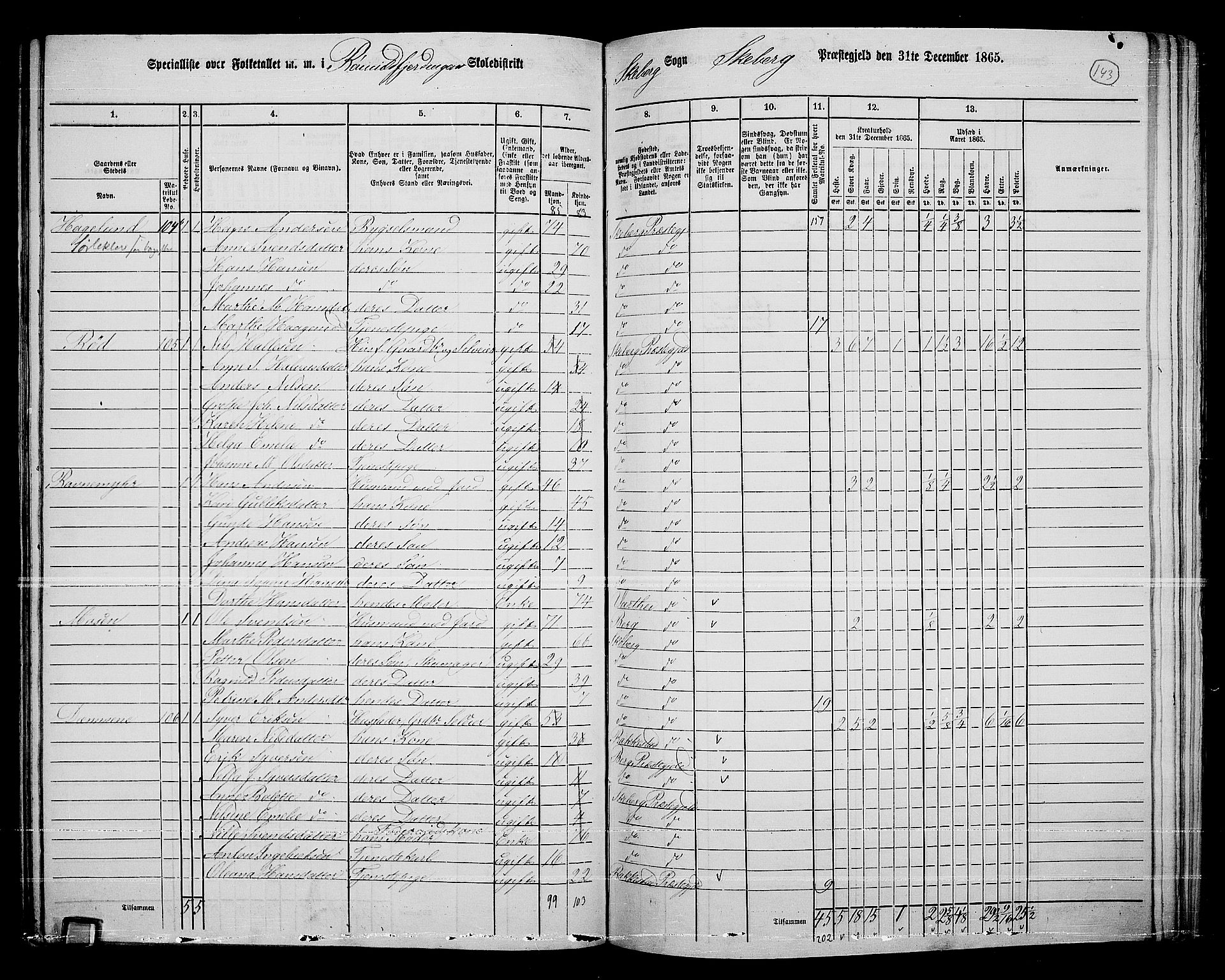 RA, 1865 census for Skjeberg, 1865, p. 134