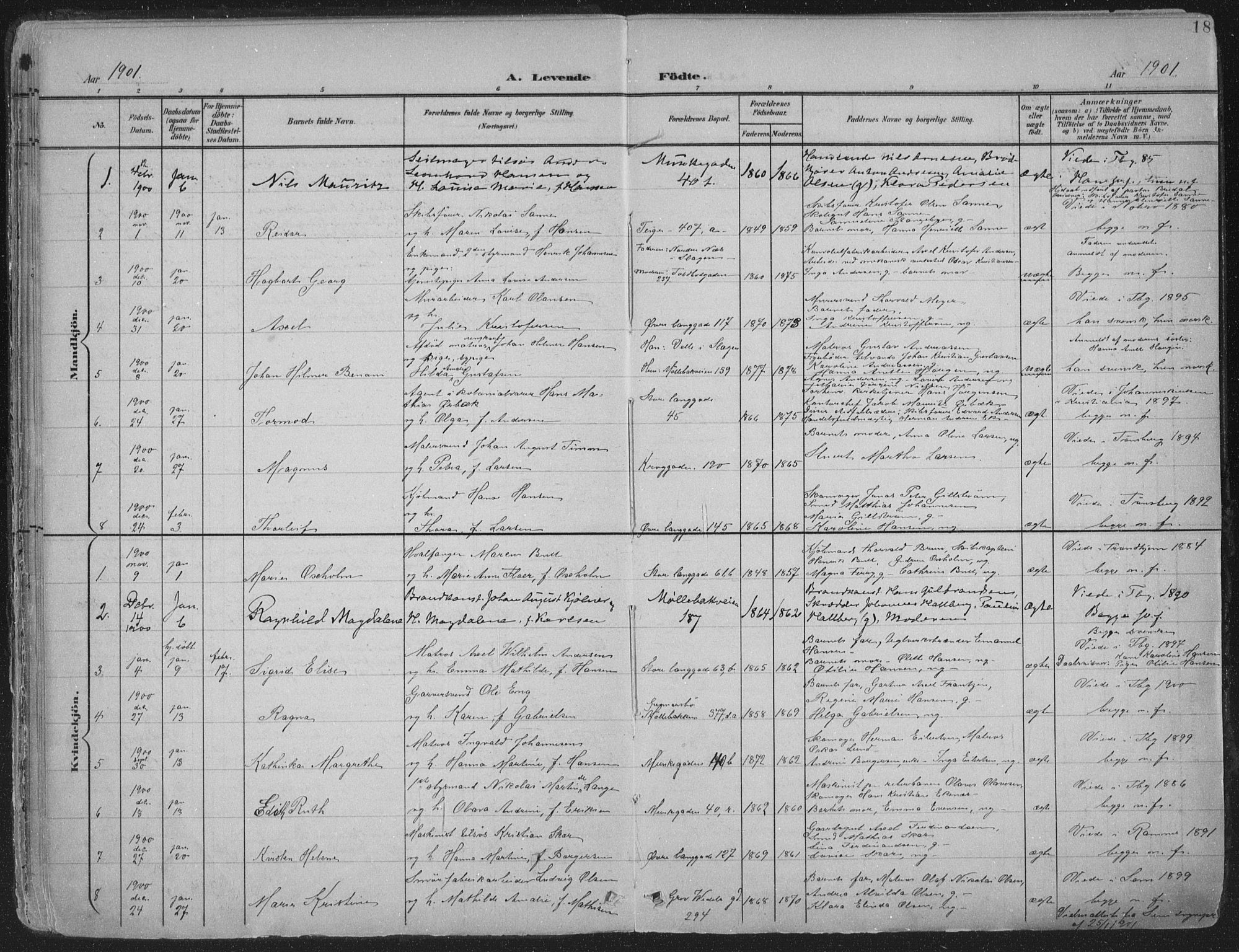 Tønsberg kirkebøker, SAKO/A-330/F/Fa/L0014: Parish register (official) no. I 14, 1900-1913, p. 18