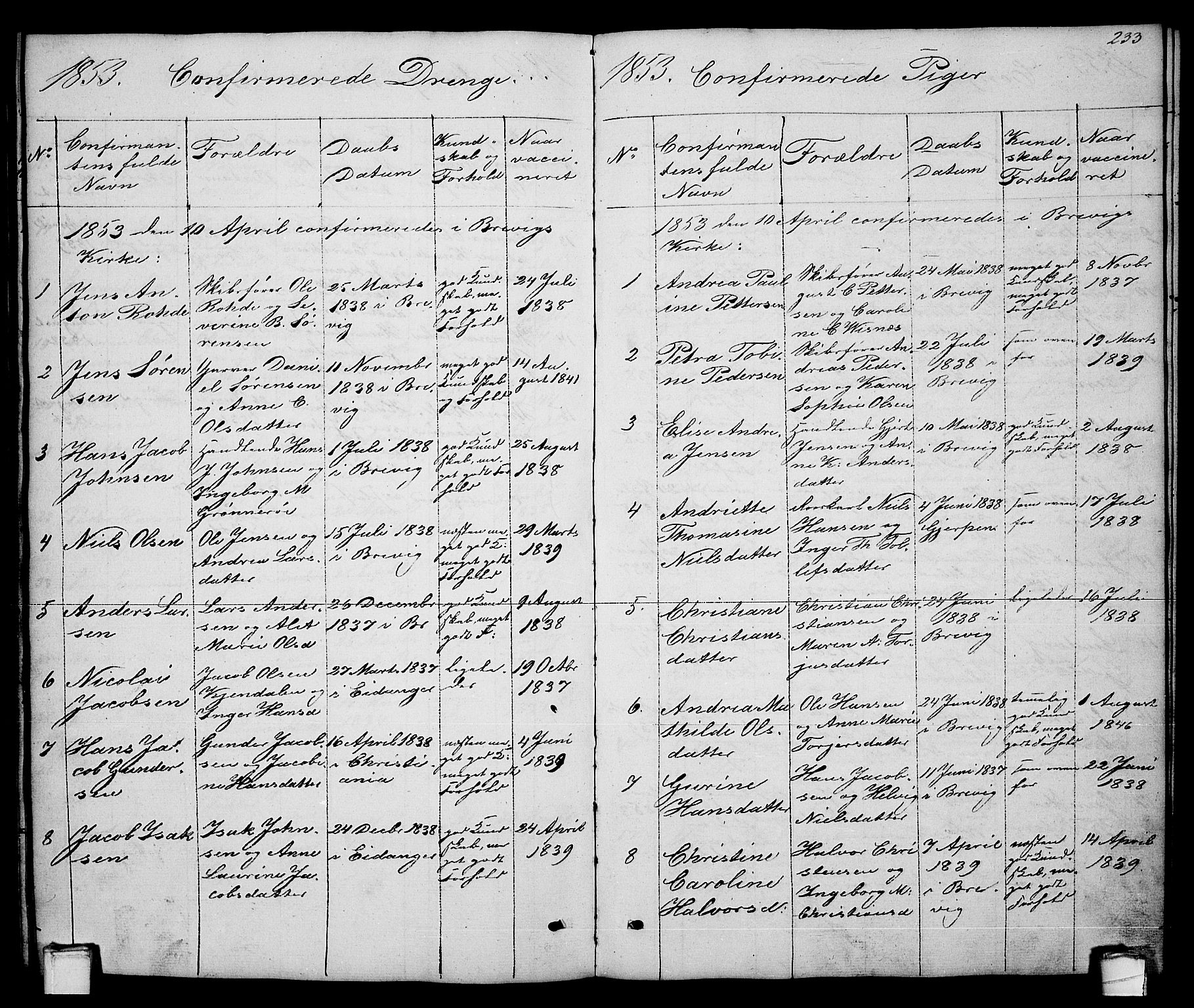 Brevik kirkebøker, SAKO/A-255/G/Ga/L0002: Parish register (copy) no. 2, 1846-1865, p. 233