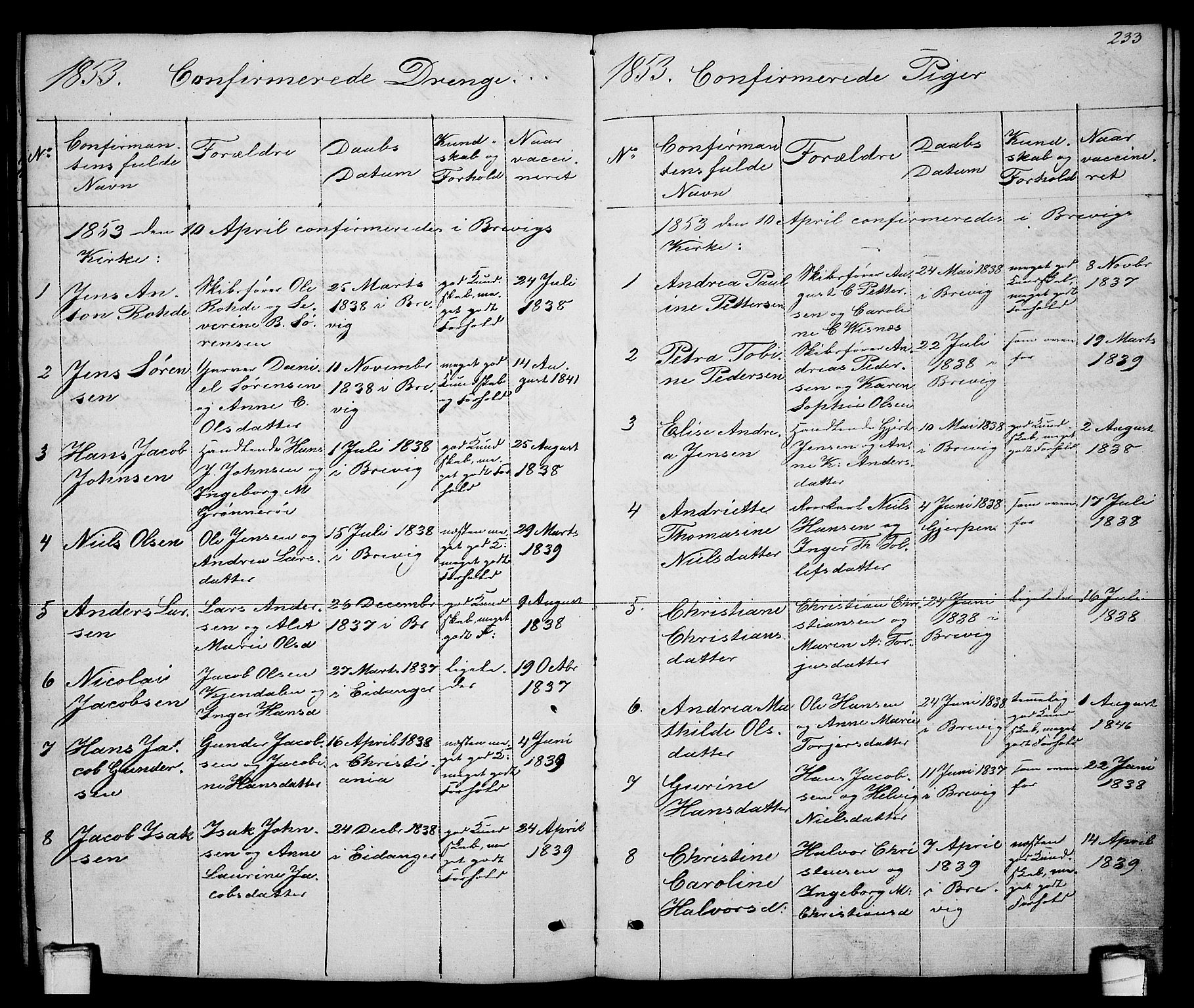 Brevik kirkebøker, AV/SAKO-A-255/G/Ga/L0002: Parish register (copy) no. 2, 1846-1865, p. 233
